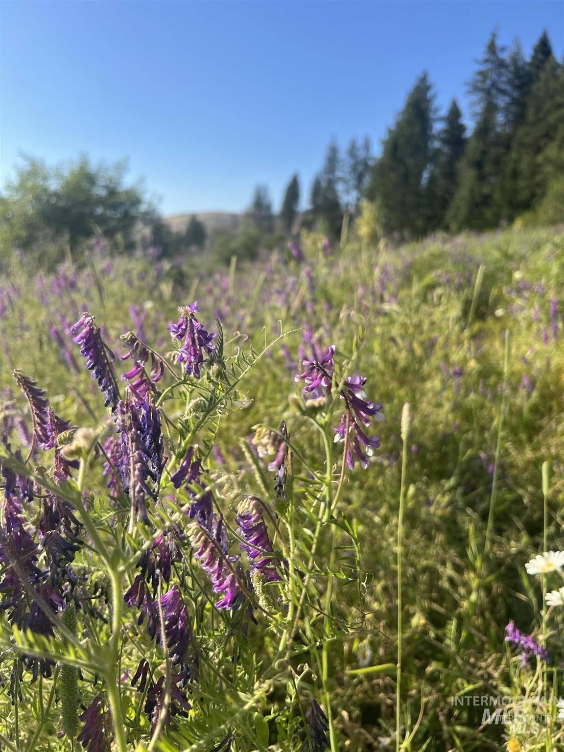 NKA Clearcreek Rd, Kooskia, Idaho 83539, Land For Sale, Price $220,000,MLS 98973570