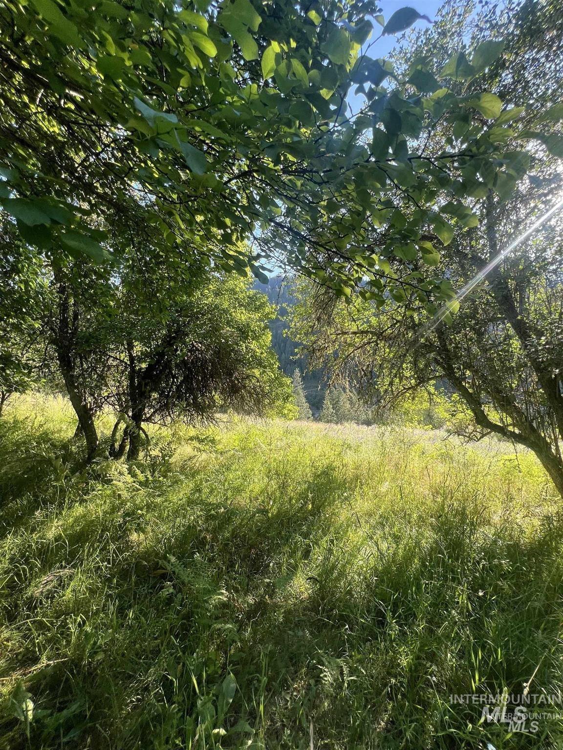 NKA Clearcreek Rd, Kooskia, Idaho 83539, Land For Sale, Price $220,000,MLS 98973570