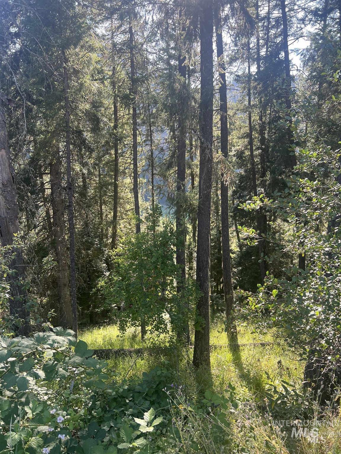 NKA Clearcreek Rd, Kooskia, Idaho 83539, Land For Sale, Price $220,000,MLS 98973570