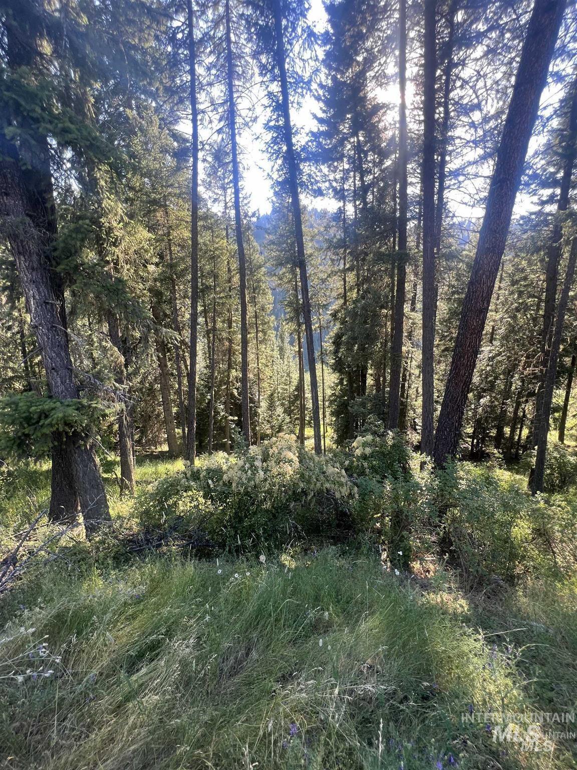 NKA Clearcreek Rd, Kooskia, Idaho 83539, Land For Sale, Price $220,000,MLS 98973570