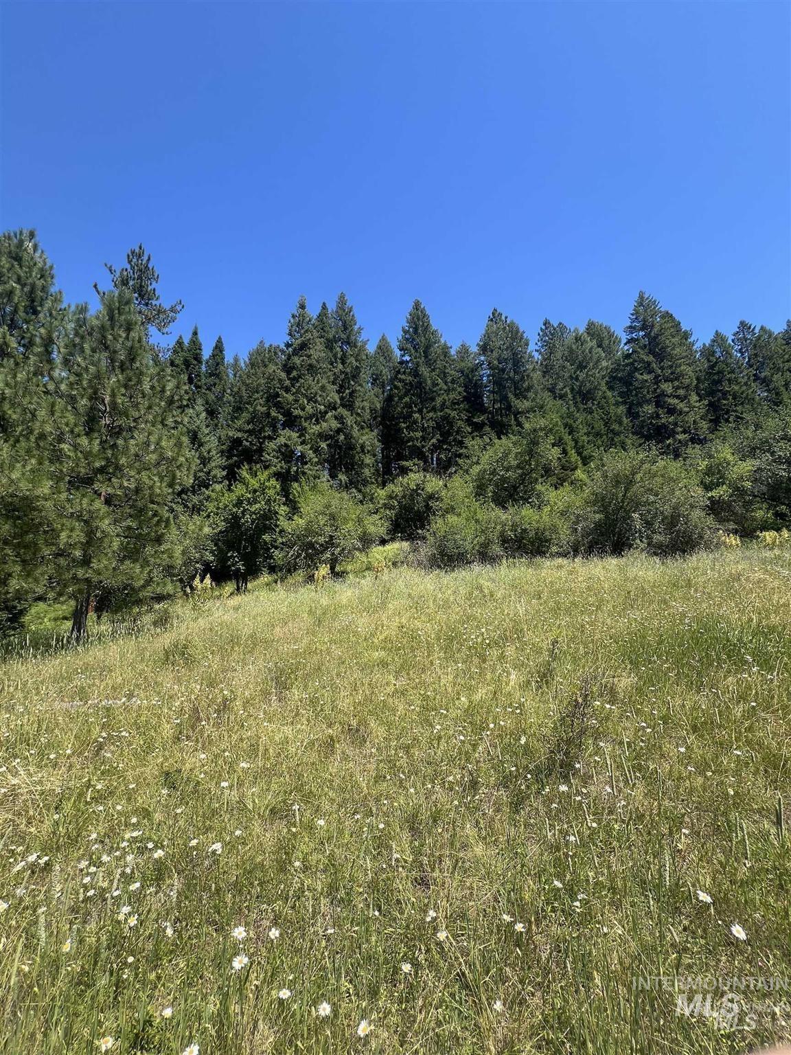 NKA Clearcreek Rd, Kooskia, Idaho 83539, Land For Sale, Price $220,000,MLS 98973570