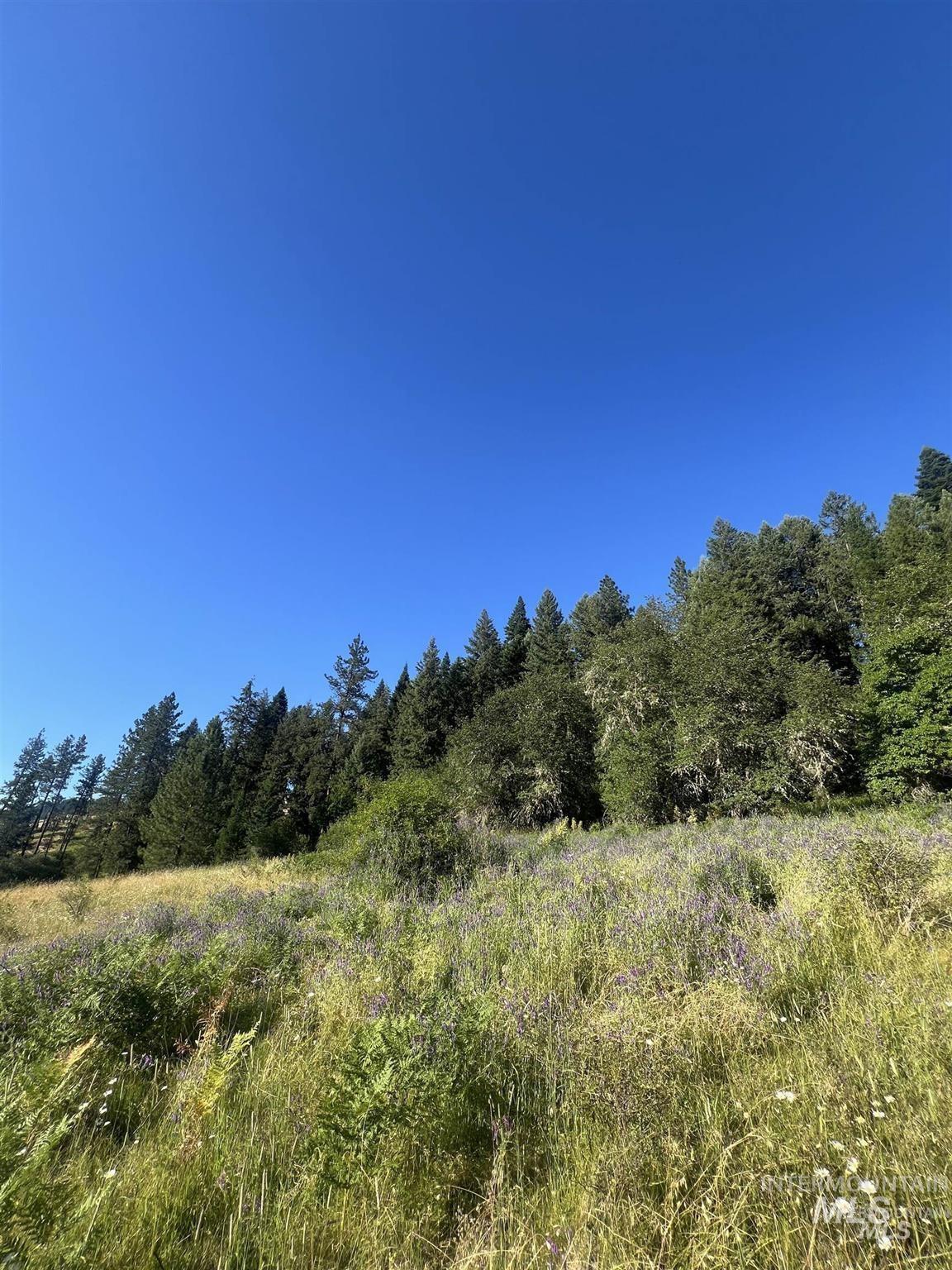NKA Clearcreek Rd, Kooskia, Idaho 83539, Land For Sale, Price $220,000,MLS 98973570