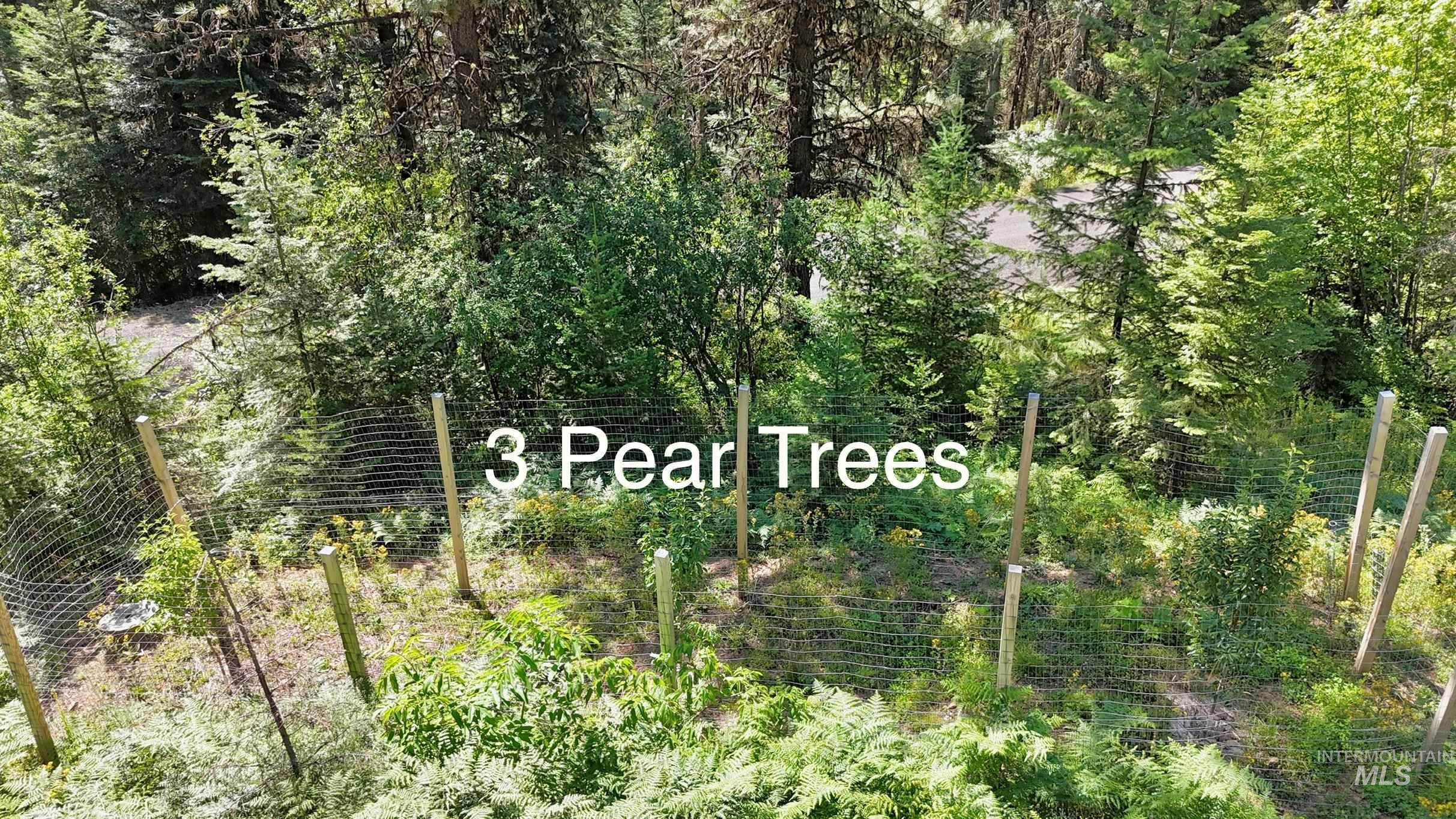 688 Cove Road, Grangeville, Idaho 83530, 3 Bedrooms, 1.5 Bathrooms, Residential For Sale, Price $389,000,MLS 98973574