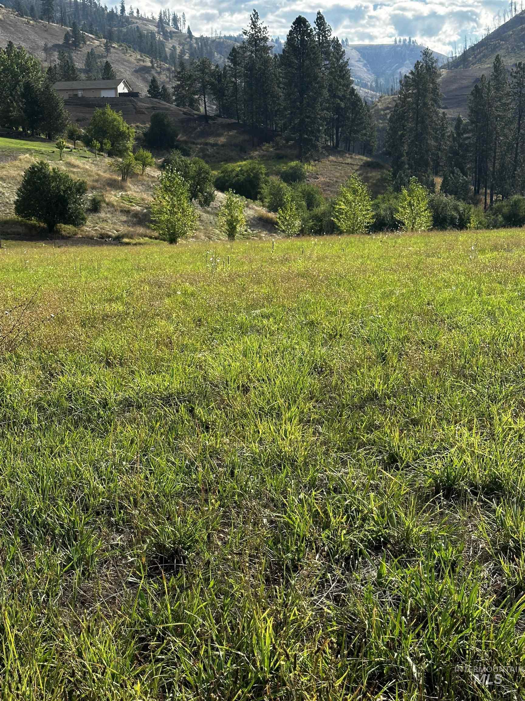 TBD Austree Lane, Kamiah, Idaho 83536, Land For Sale, Price $240,000,MLS 98973618