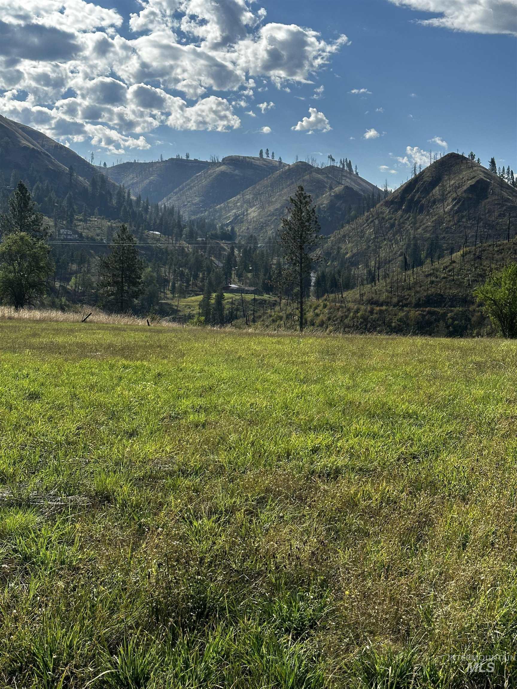 TBD Austree Lane, Kamiah, Idaho 83536, Land For Sale, Price $240,000,MLS 98973618