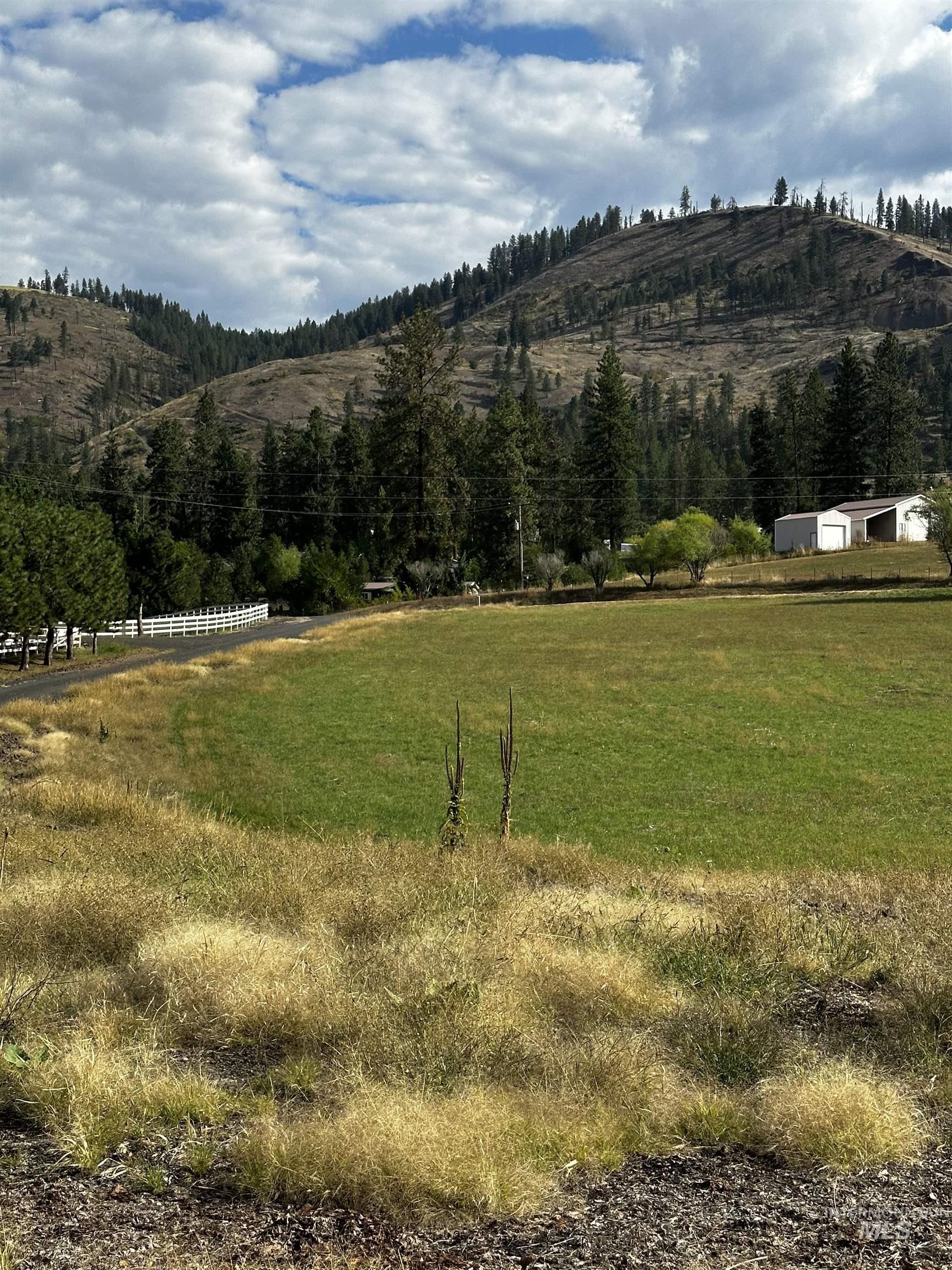 TBD Austree Lane, Kamiah, Idaho 83536, Land For Sale, Price $240,000,MLS 98973618