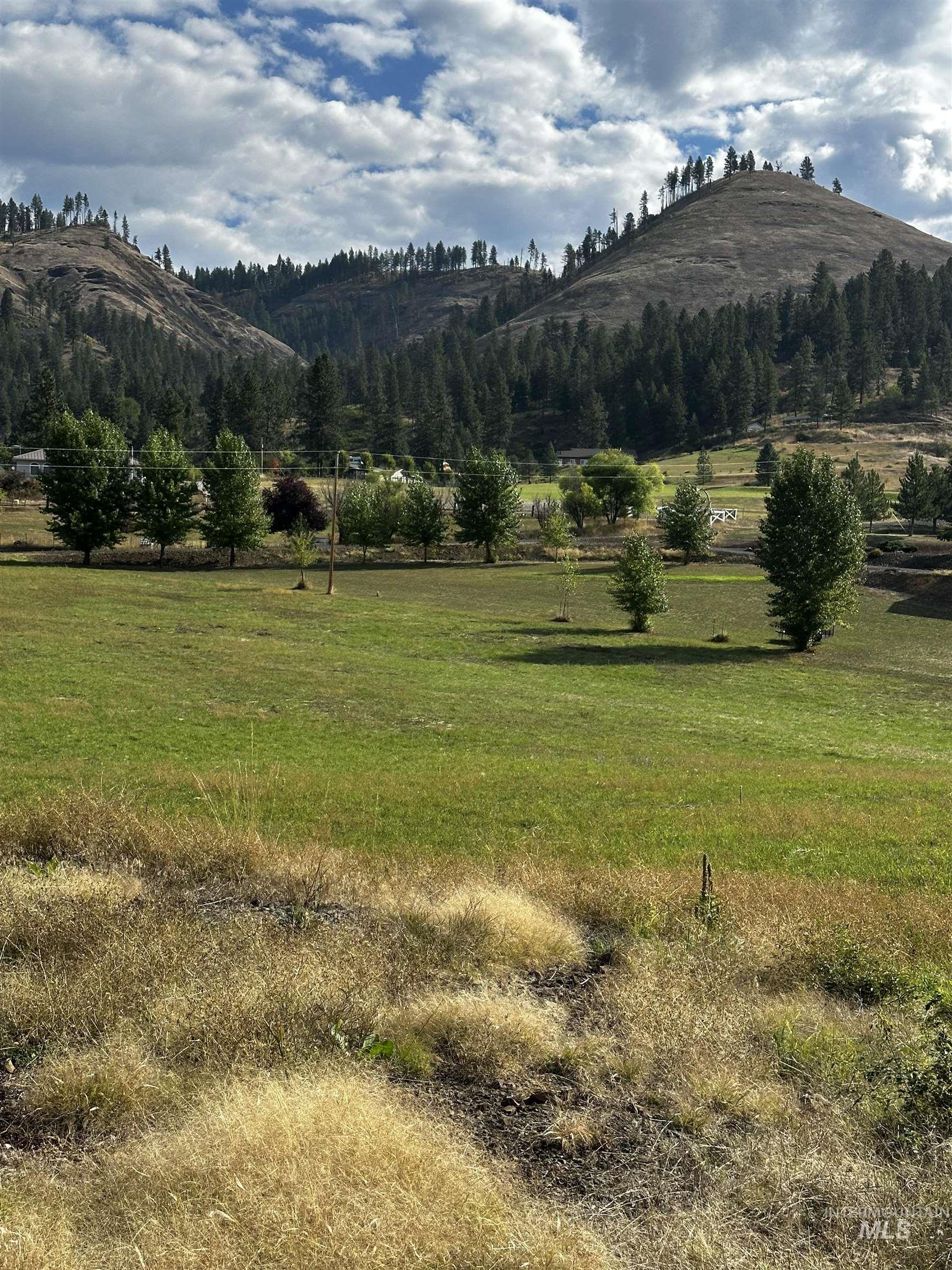 TBD Austree Lane, Kamiah, Idaho 83536, Land For Sale, Price $240,000,MLS 98973618