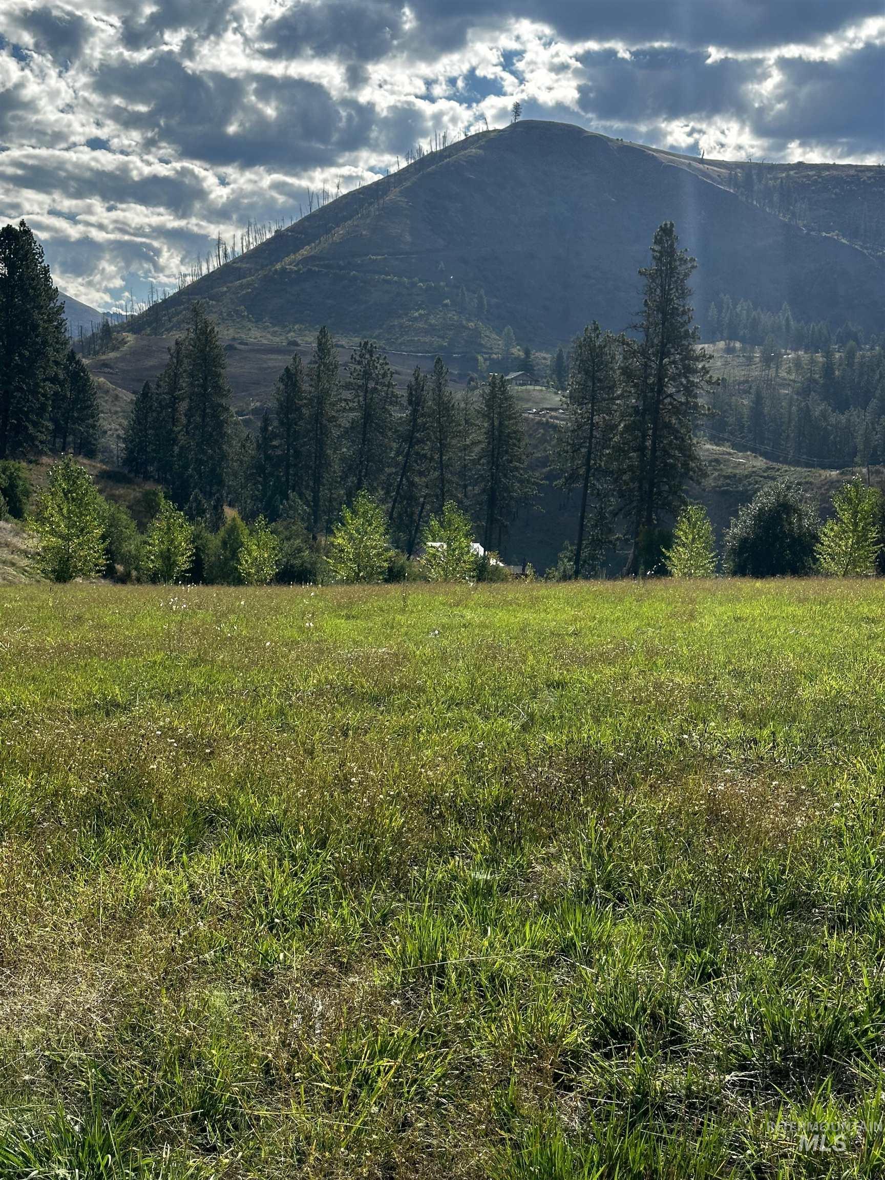 TBD Austree Lane, Kamiah, Idaho 83536, Land For Sale, Price $240,000,MLS 98973618