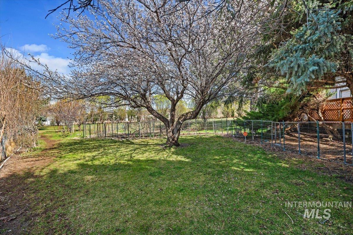 215 Willow, Hagerman, Idaho 83332, 3 Bedrooms, 2 Bathrooms, Residential For Sale, Price $750,000,MLS 98973629