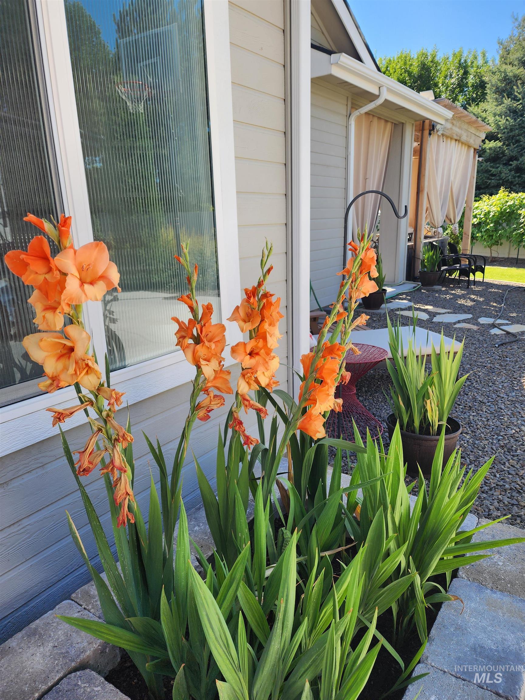 319 Sunderland St, Caldwell, Idaho 83605-5495, 3 Bedrooms, 2 Bathrooms, Residential For Sale, Price $615,000,MLS 98973641