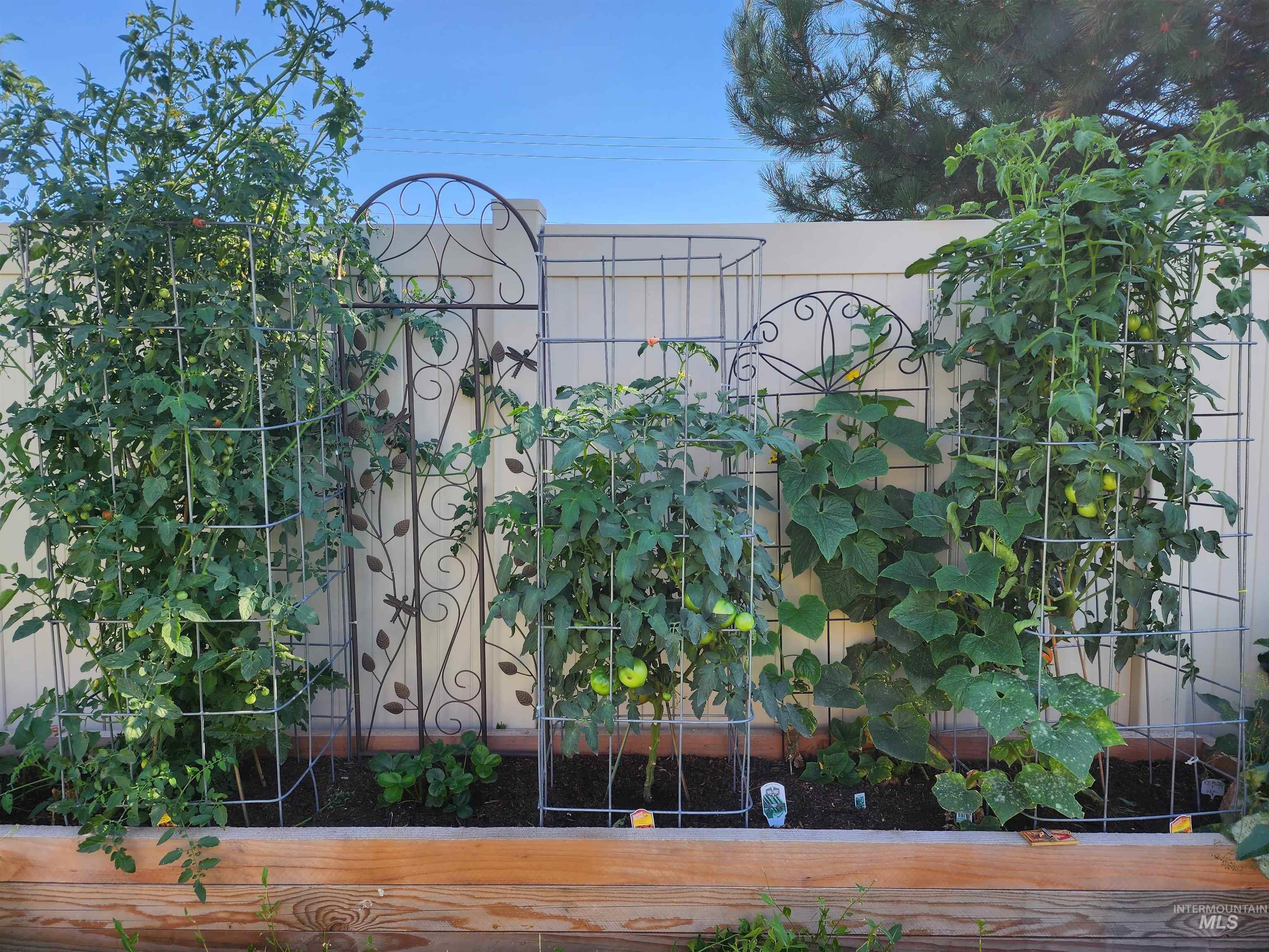 319 Sunderland St, Caldwell, Idaho 83605-5495, 3 Bedrooms, 2 Bathrooms, Residential For Sale, Price $615,000,MLS 98973641