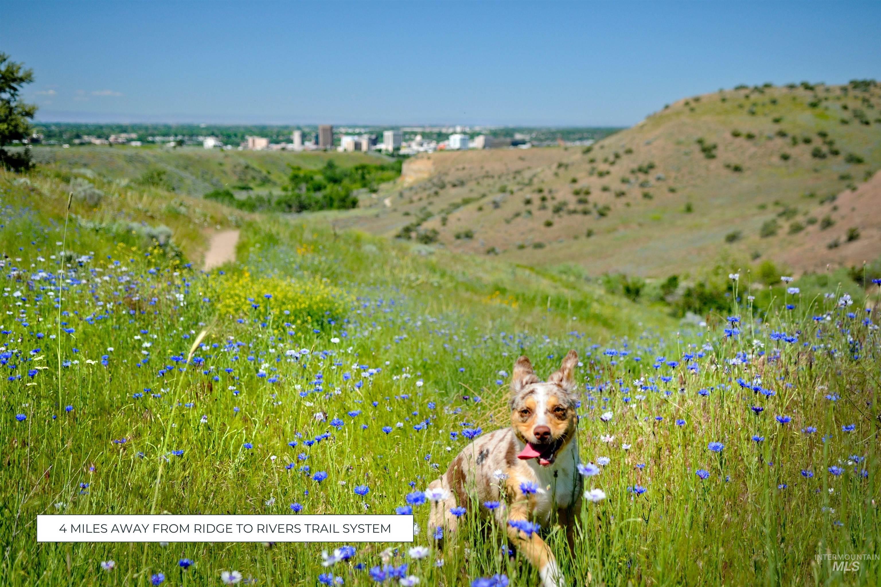 2595 S Greenwood Cir, Boise, Idaho 83706, 4 Bedrooms, 2.5 Bathrooms, Residential For Sale, Price $1,295,000,MLS 98973642