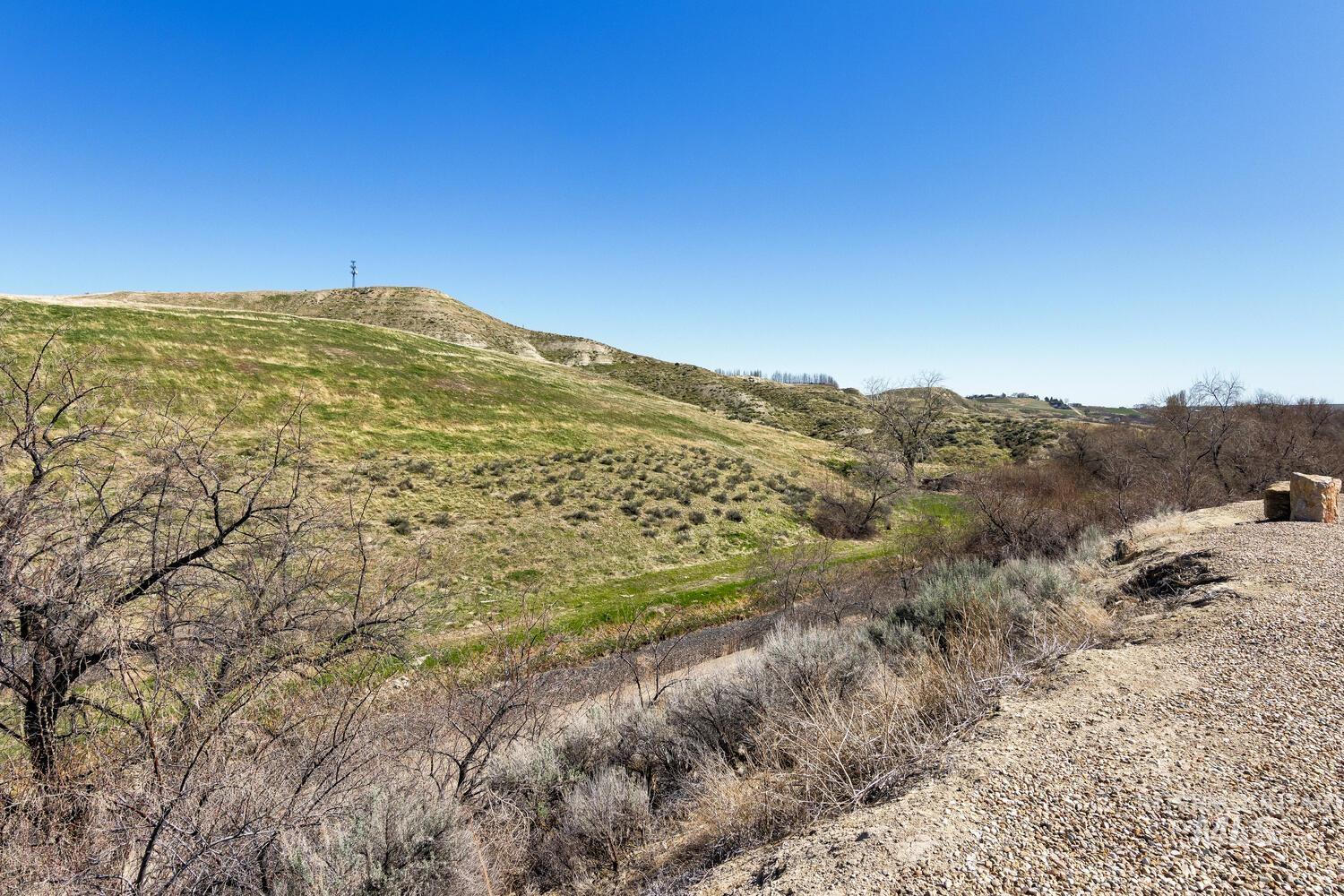 16368 Brunello Ct, Caldwell, Idaho 83607, 3 Bedrooms, 2.5 Bathrooms, Residential For Sale, Price $1,495,000,MLS 98973676