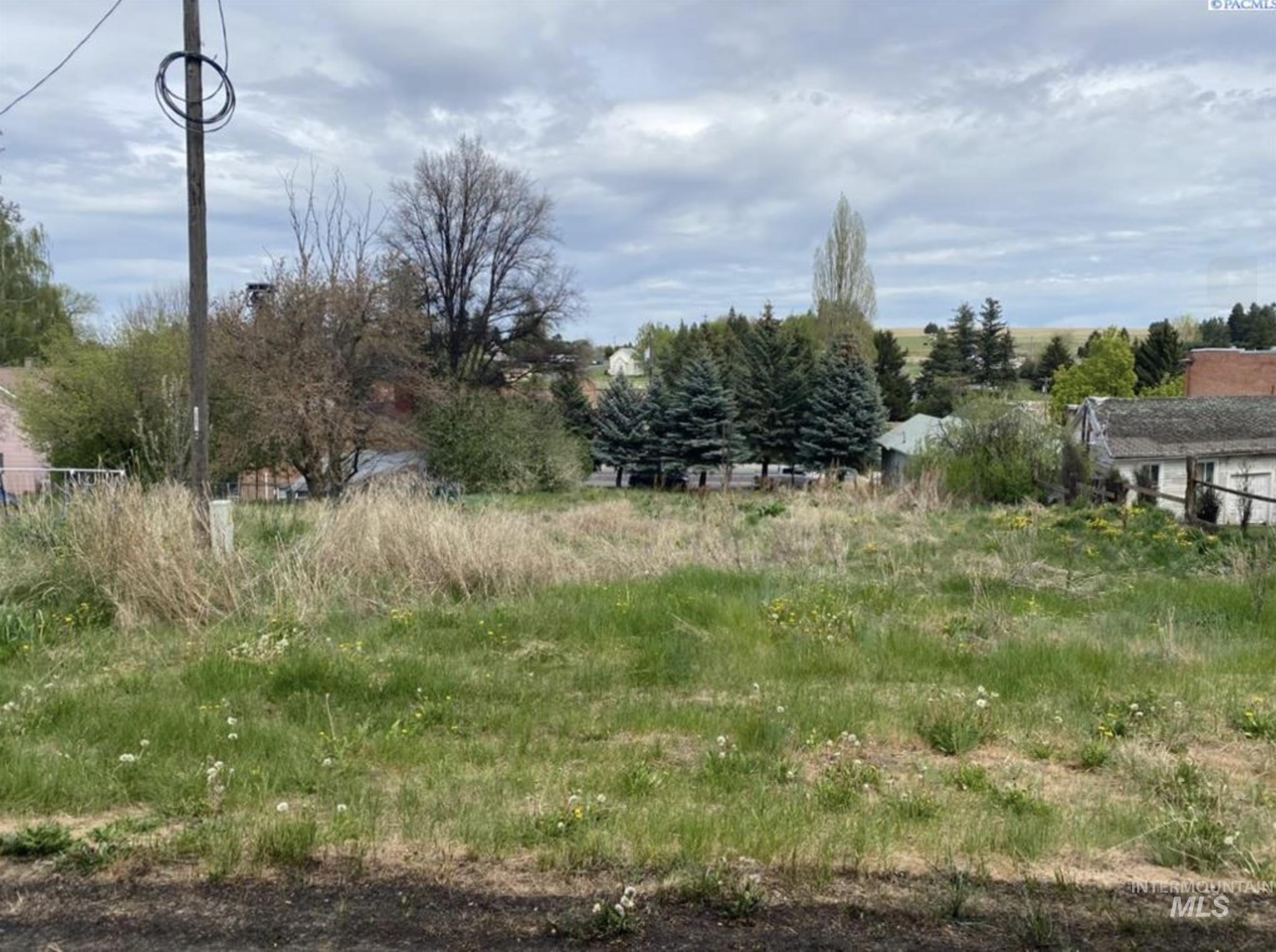 111 S High Street, Uniontown, Washington 99179, Land For Sale, Price $59,900,MLS 98973680