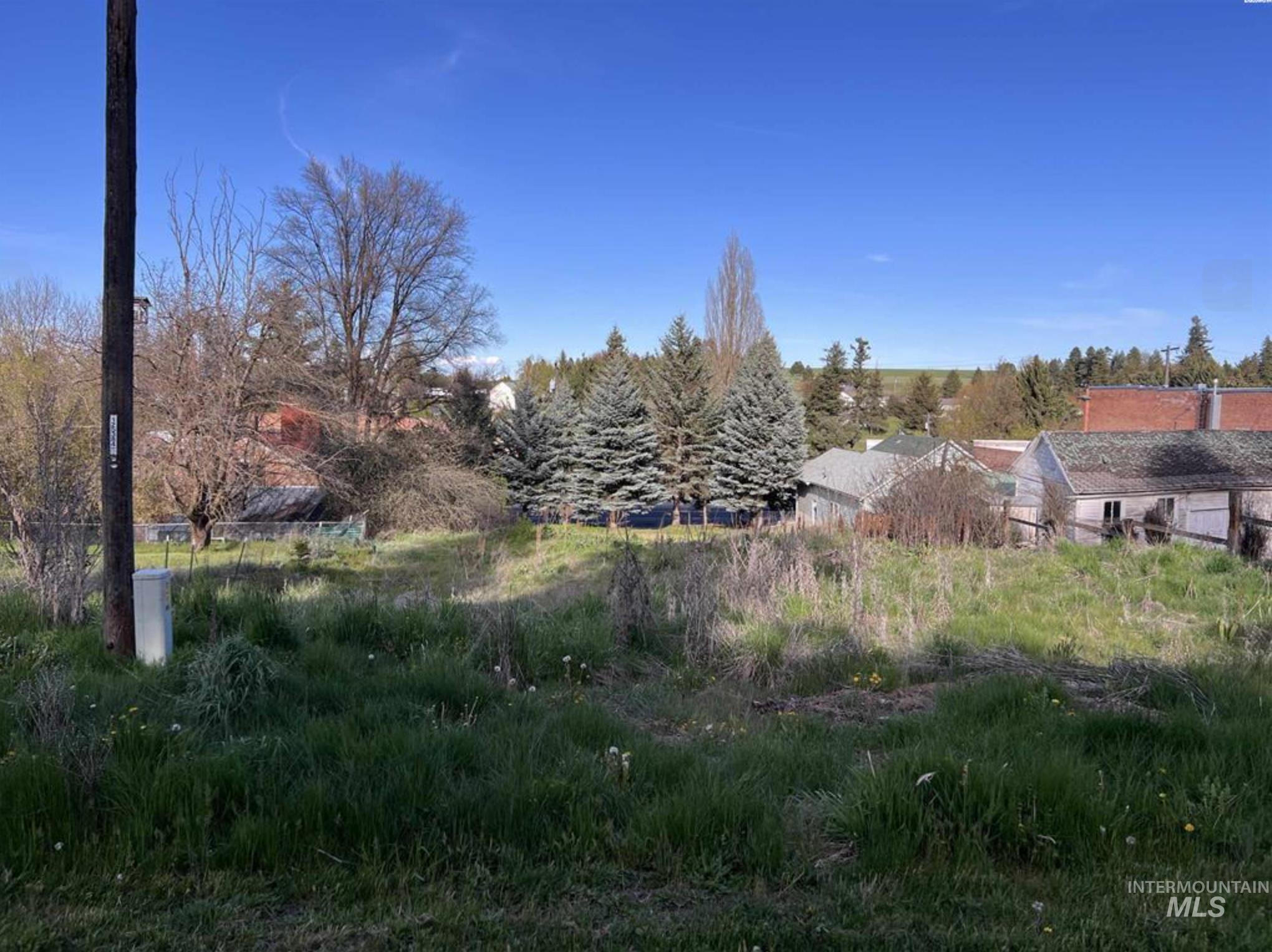 111 S High Street, Uniontown, Washington 99179, Land For Sale, Price $59,900,MLS 98973680