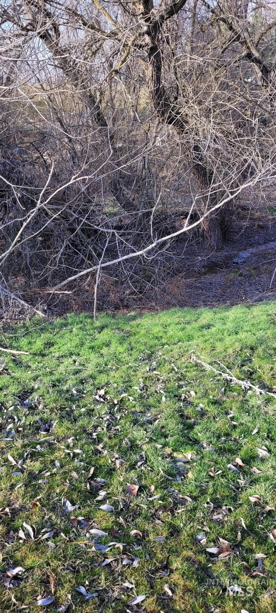 000 Crystal Ln, Wilder, Idaho 83676, Land For Sale, Price $299,000,MLS 98973709