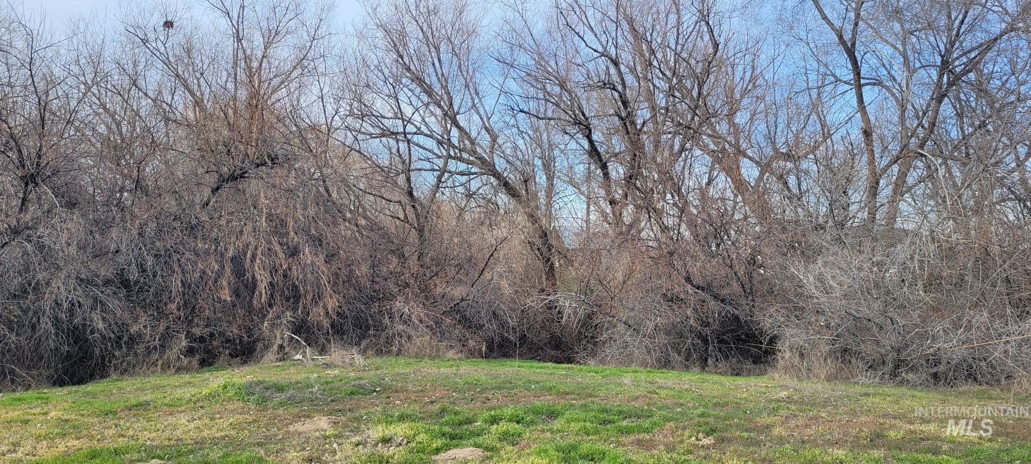 000 Crystal Ln, Wilder, Idaho 83676, Land For Sale, Price $299,000,MLS 98973709