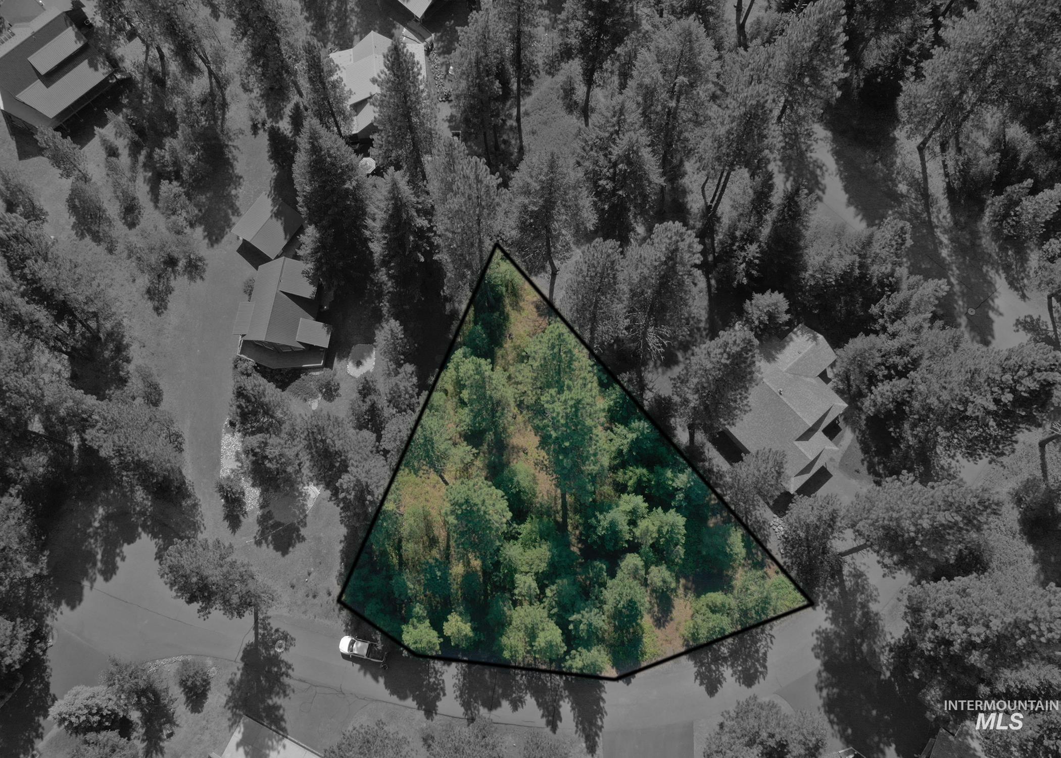 TBD Brundage Ct, New Meadows, Idaho 83654, Land For Sale, Price $80,000,MLS 98973755