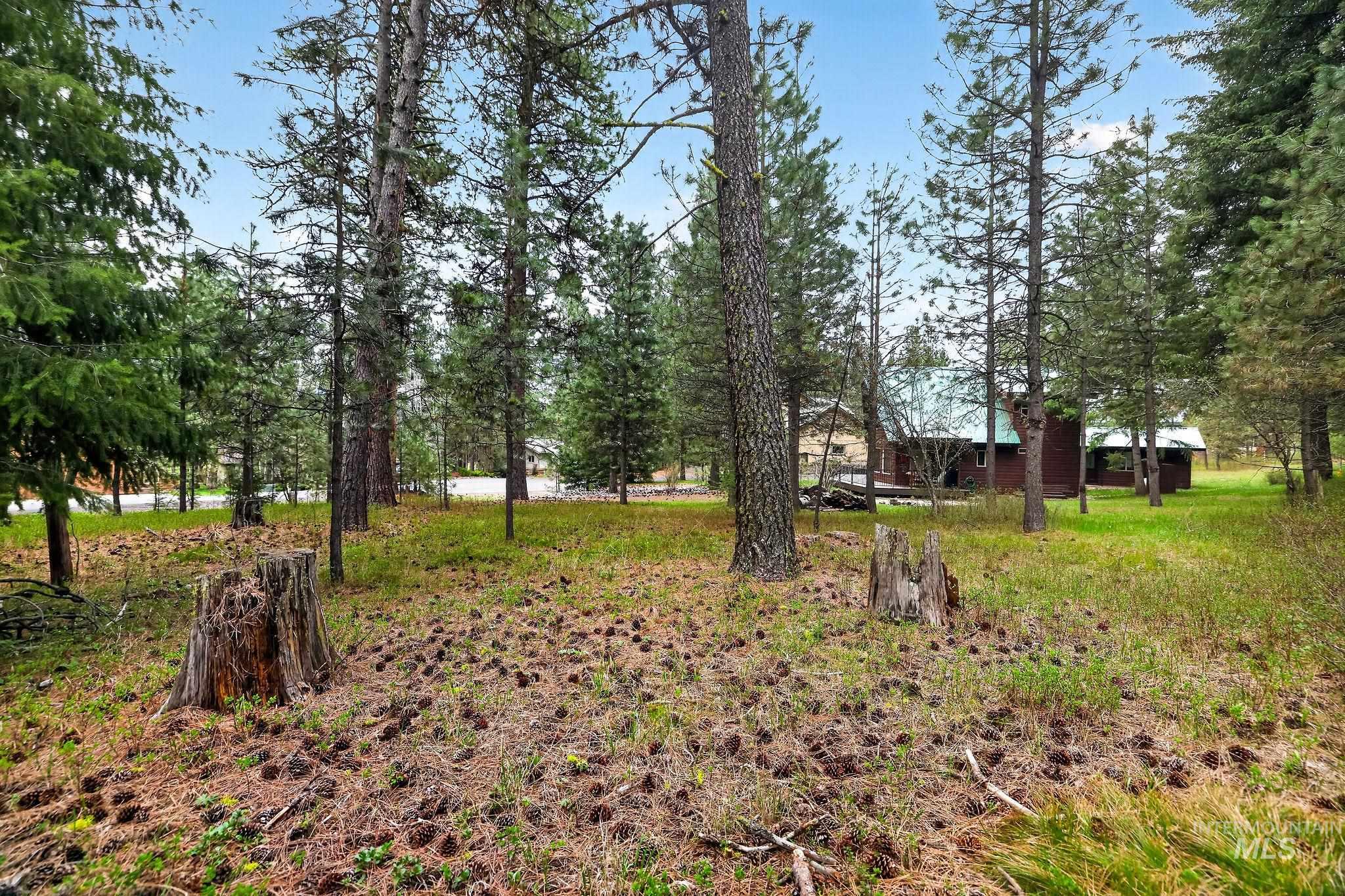 TBD Brundage Ct, New Meadows, Idaho 83654, Land For Sale, Price $80,000,MLS 98973755