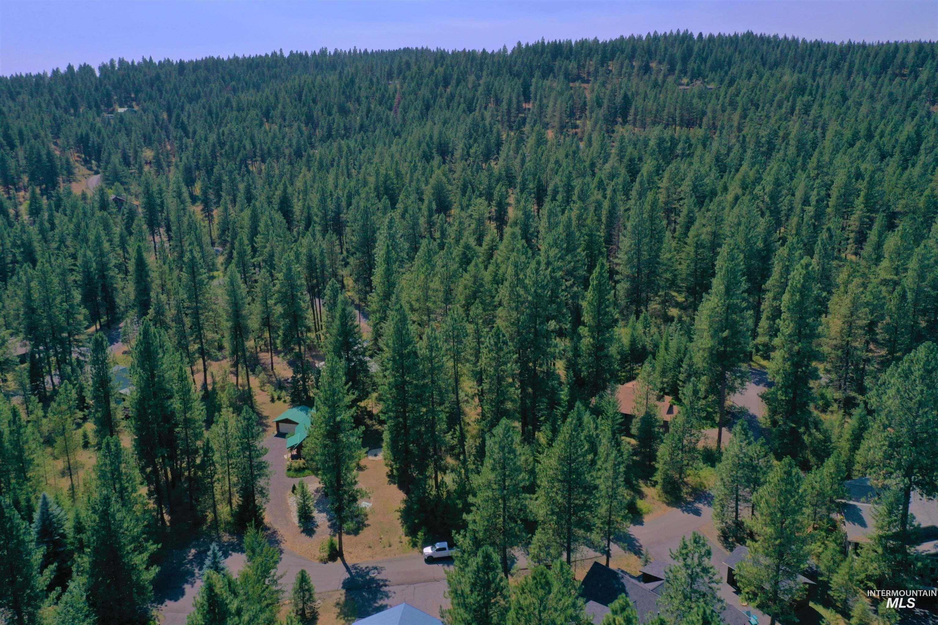 TBD Brundage Ct, New Meadows, Idaho 83654, Land For Sale, Price $80,000,MLS 98973755