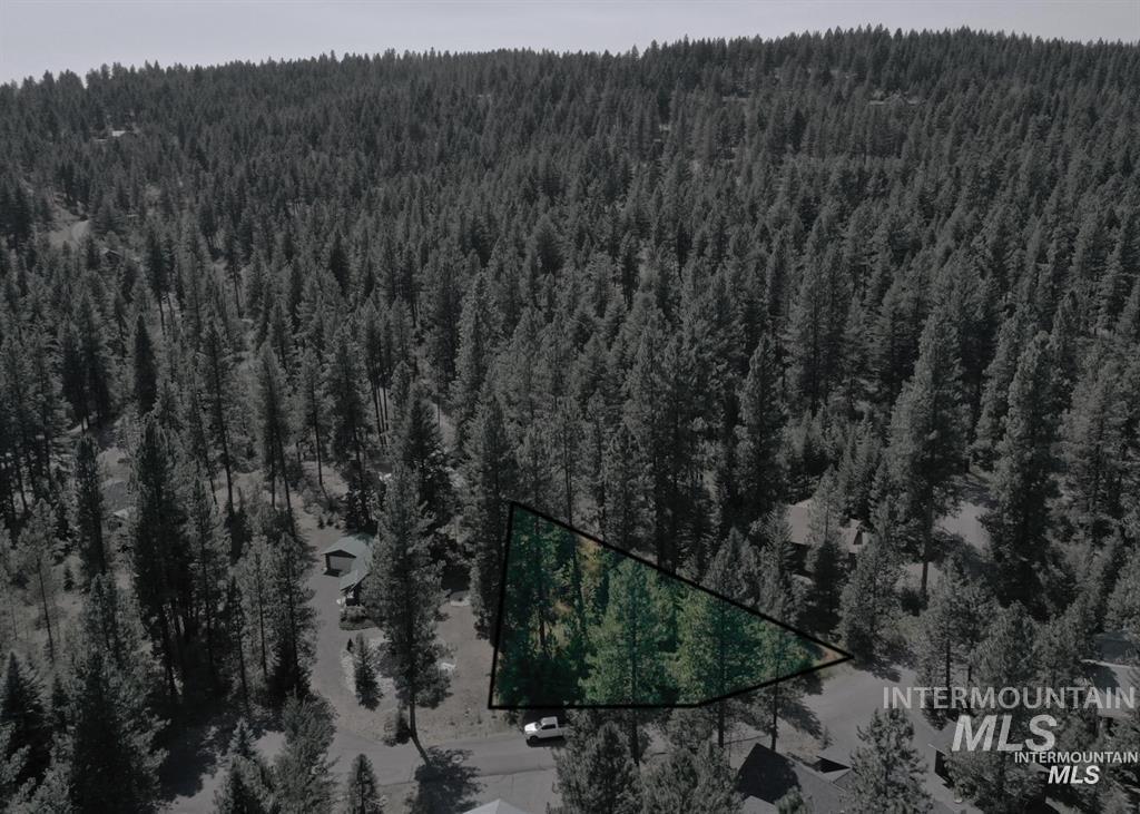 TBD Brundage Ct, New Meadows, Idaho 83654, Land For Sale, Price $80,000,MLS 98973755