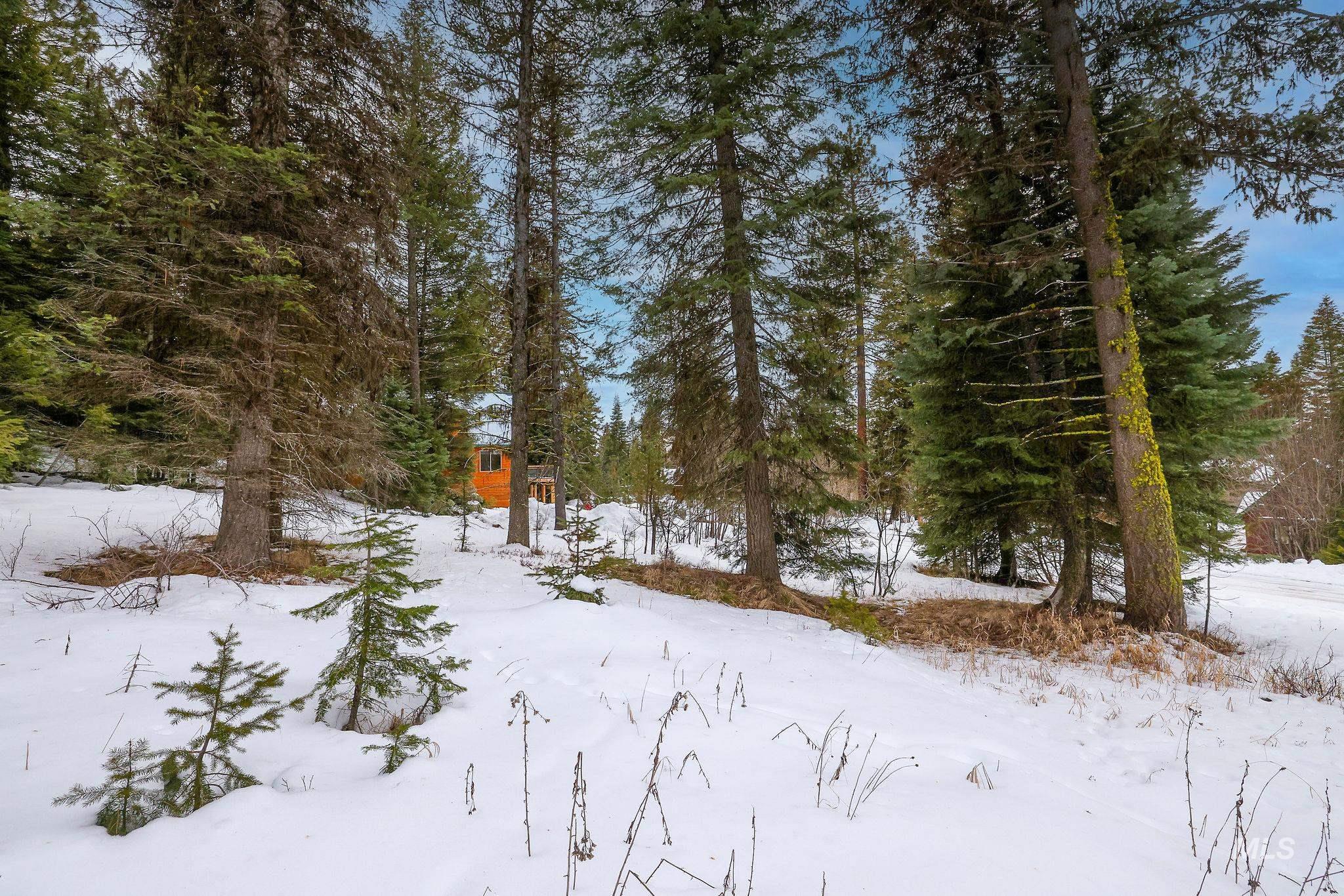 1130 Bellflower Place, McCall, Idaho 83638, Land For Sale, Price $280,900,MLS 98973804