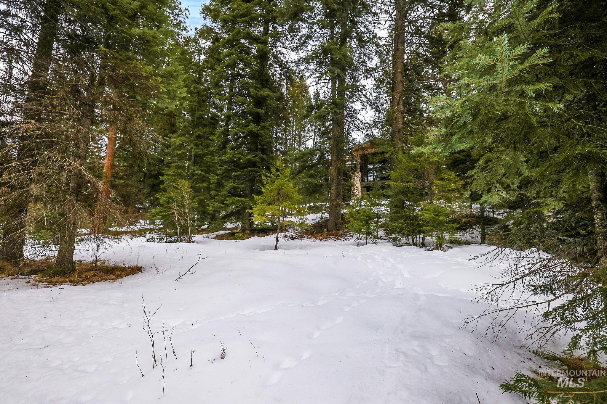1130 Bellflower Place, McCall, Idaho 83638, Land For Sale, Price $280,900,MLS 98973804