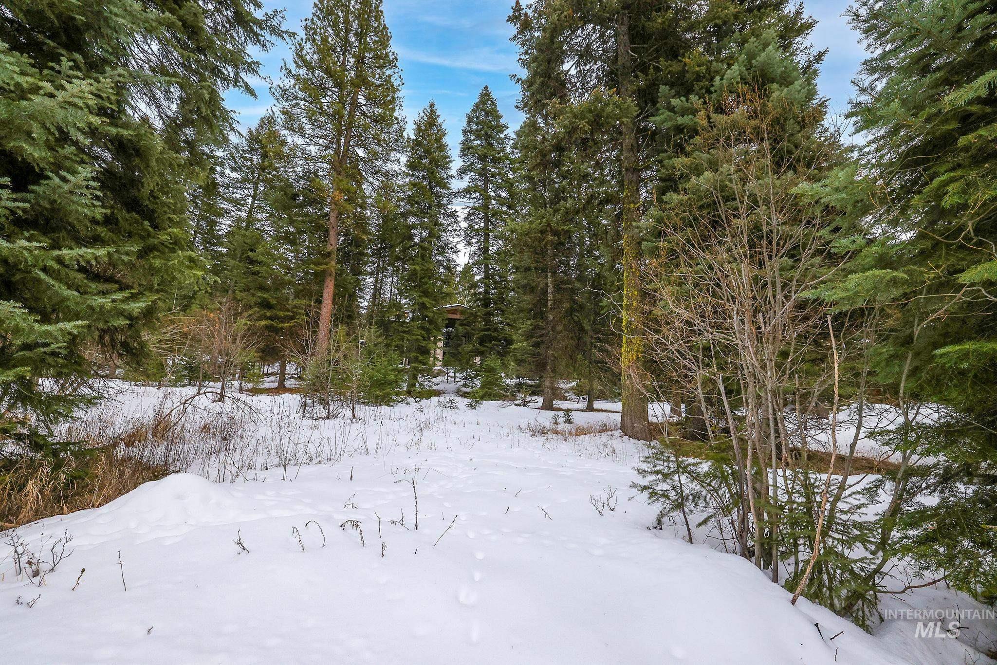 1130 Bellflower Place, McCall, Idaho 83638, Land For Sale, Price $280,900,MLS 98973804