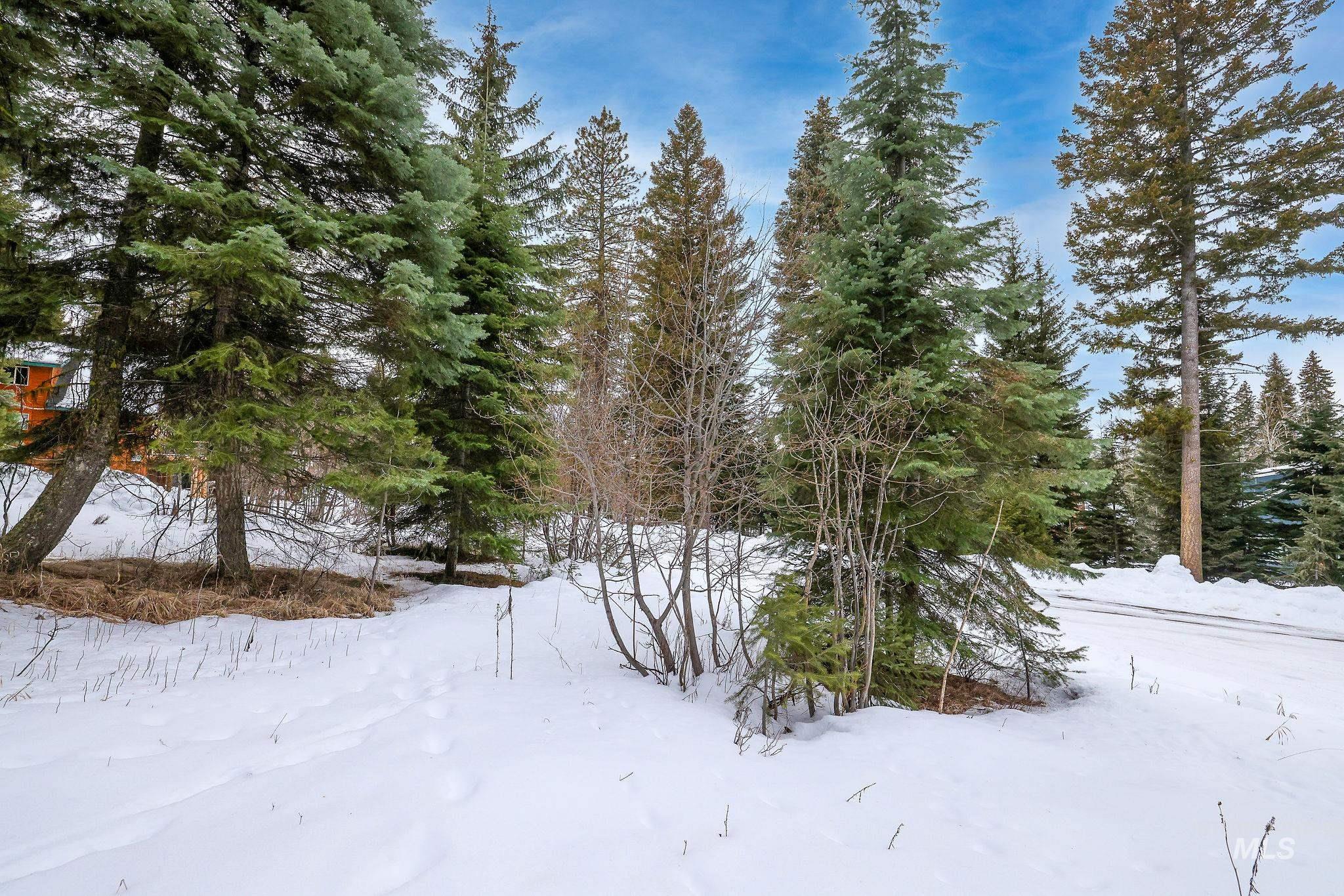1130 Bellflower Place, McCall, Idaho 83638, Land For Sale, Price $280,900,MLS 98973804