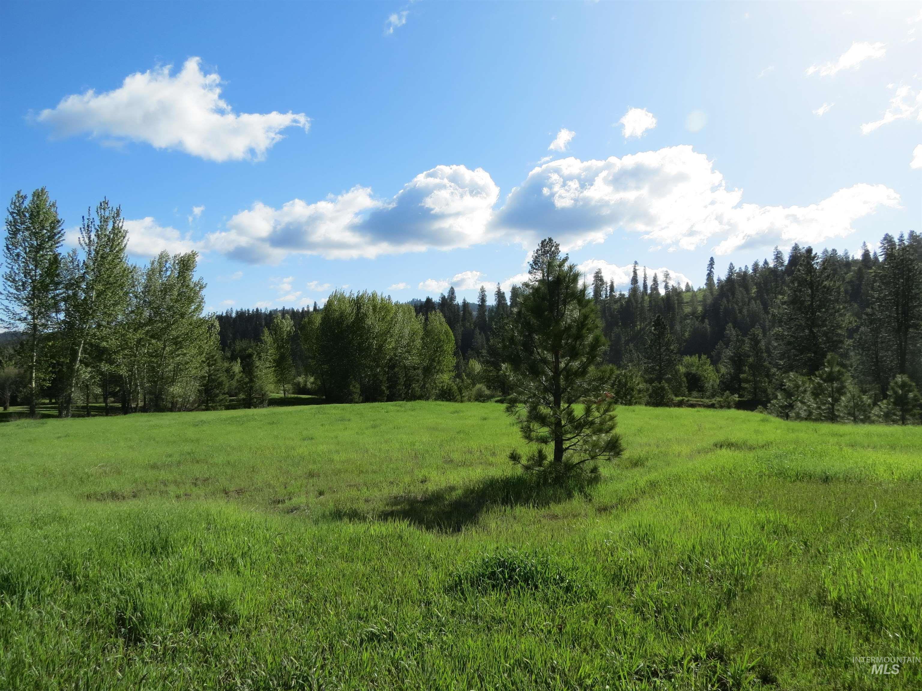 91 Crosstimber Loop, Garden Valley, Idaho 83622, Land For Sale, Price $215,000,MLS 98973821