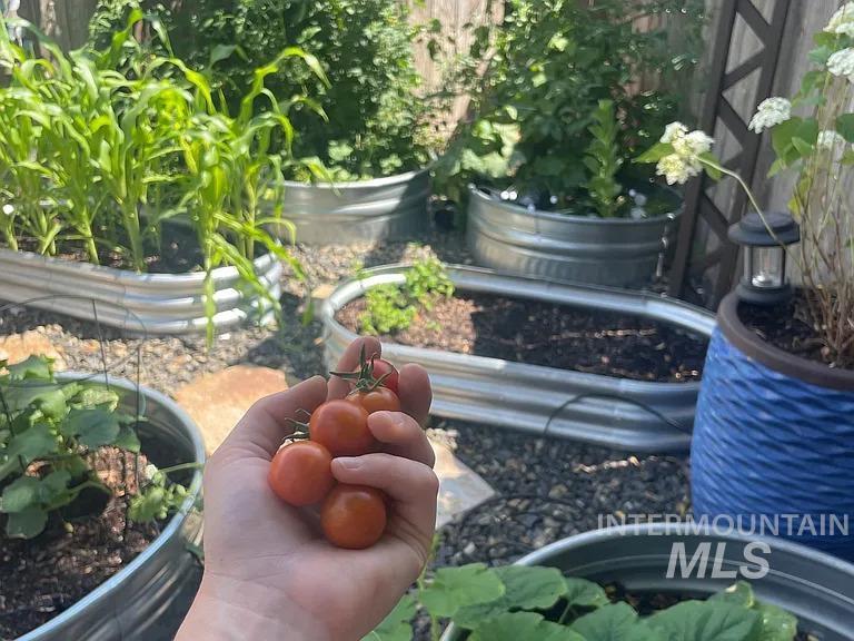 1820 W Lotus Ponds Court, Nampa, Idaho 83651, 4 Bedrooms, 2.5 Bathrooms, Residential For Sale, Price $428,900,MLS 98973827