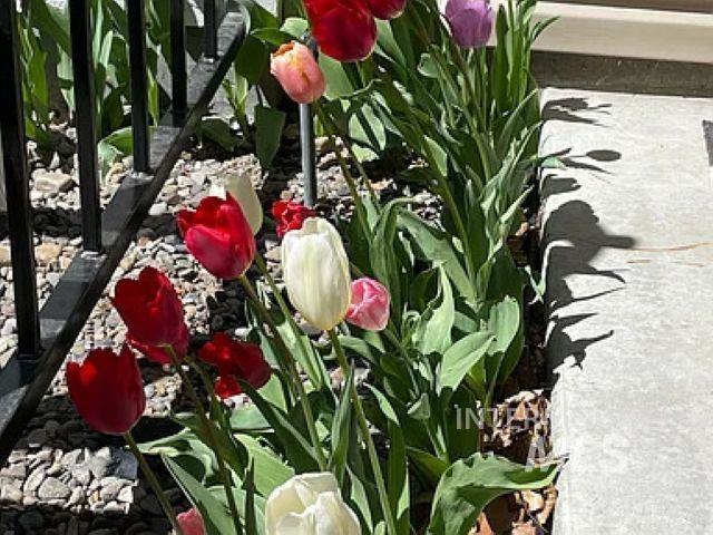 1820 W Lotus Ponds Court, Nampa, Idaho 83651, 4 Bedrooms, 2.5 Bathrooms, Residential For Sale, Price $428,900,MLS 98973827