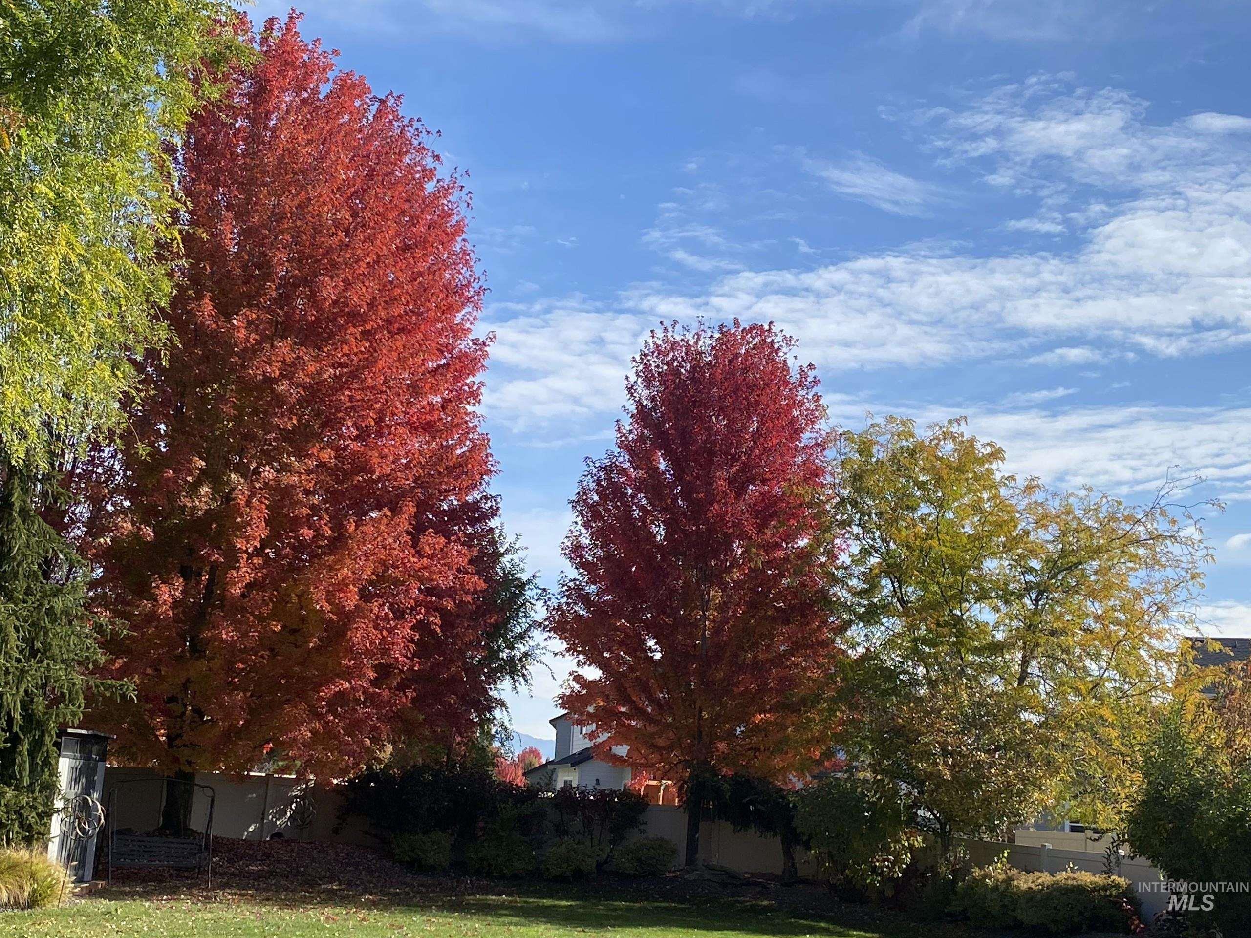 352 N Havasu Ct, Eagle, Idaho 83616, 3 Bedrooms, 3.5 Bathrooms, Residential For Sale, Price $1,149,999,MLS 98973963