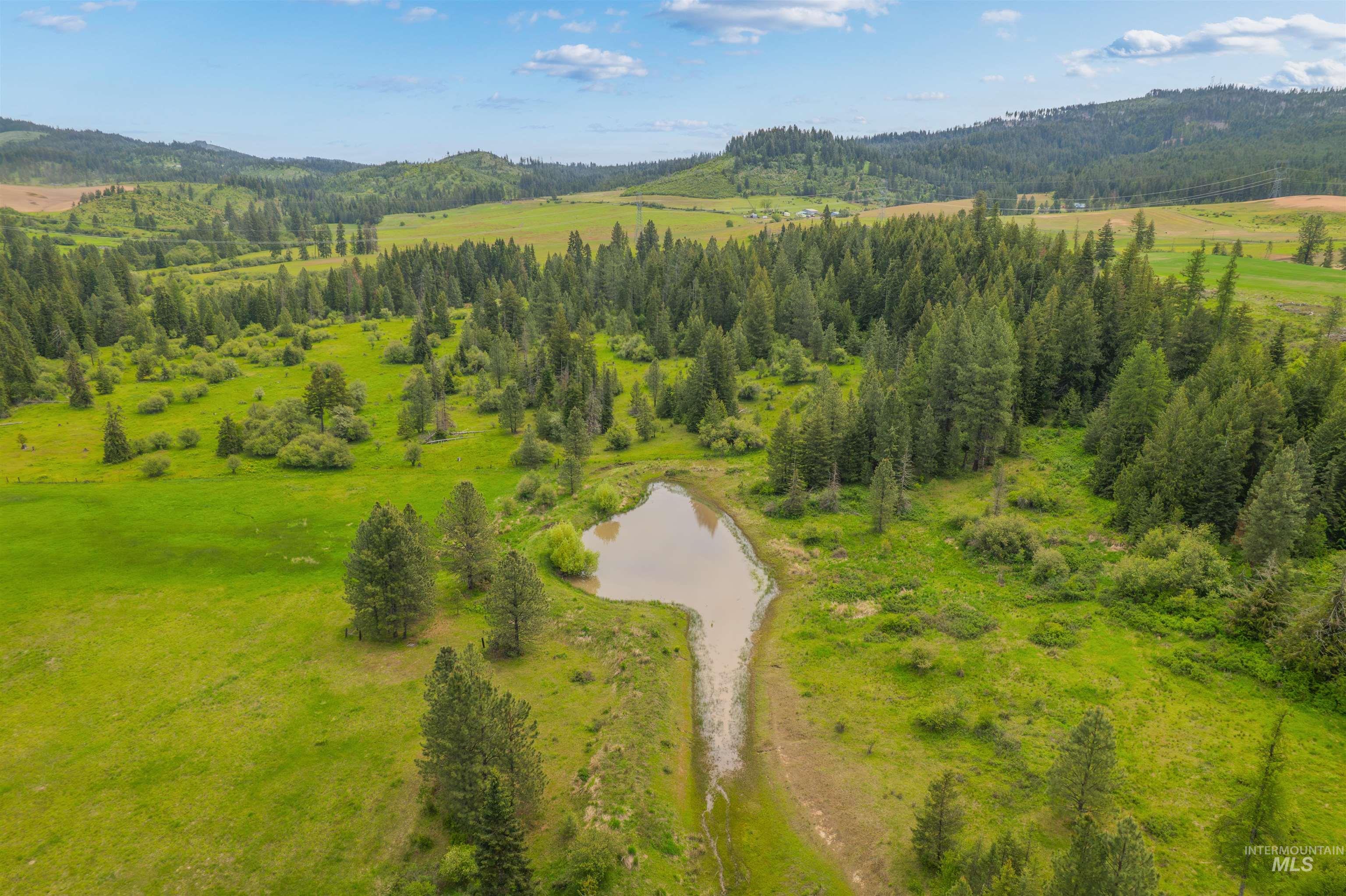 478 and 716 Three Bear Rd, Kendrick, Idaho 83537, 3 Bedrooms, 2 Bathrooms, Residential For Sale, Price $899,000,MLS 98973976