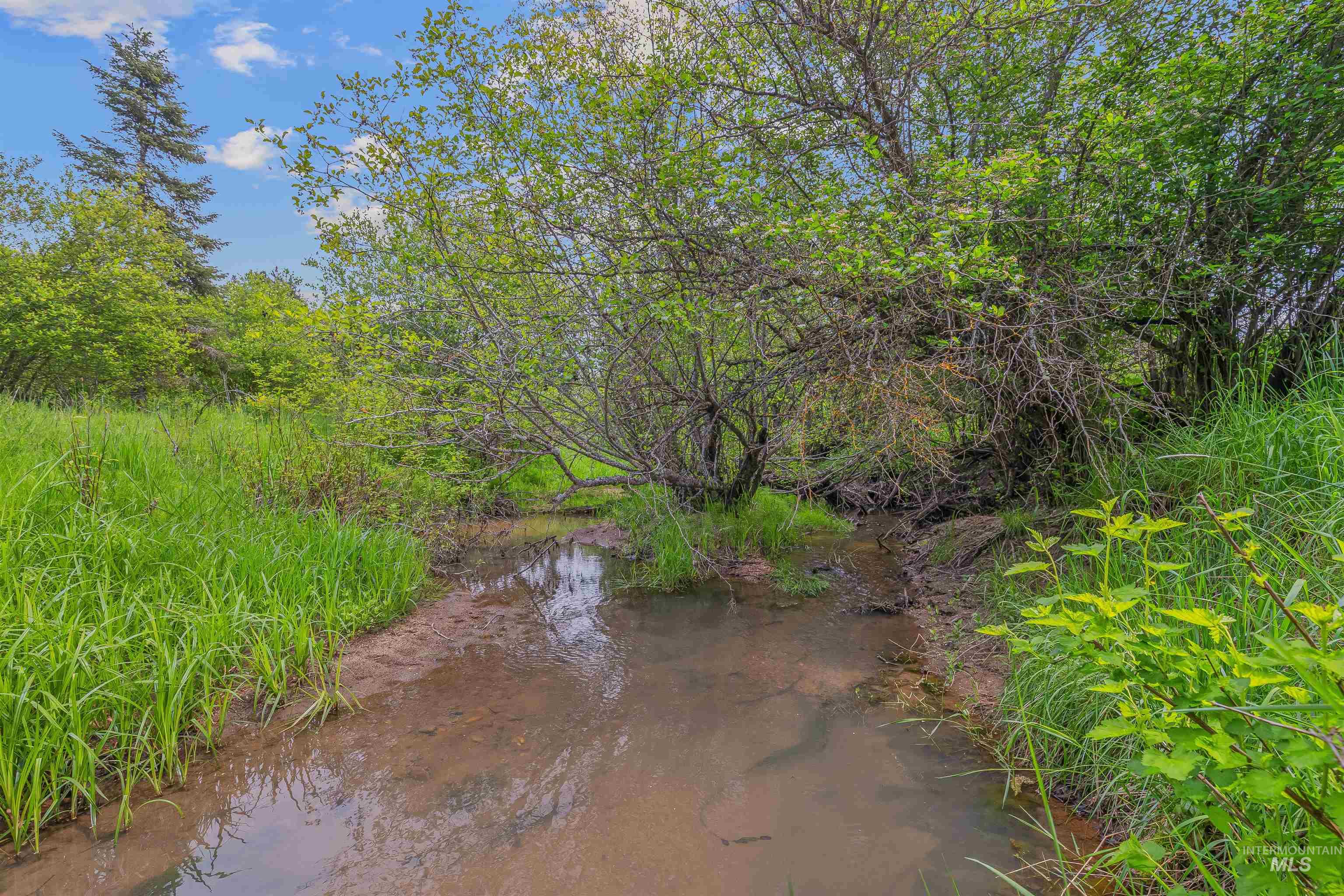 478 and 716 Three Bear Rd, Kendrick, Idaho 83537, 3 Bedrooms, 2 Bathrooms, Residential For Sale, Price $899,000,MLS 98973976