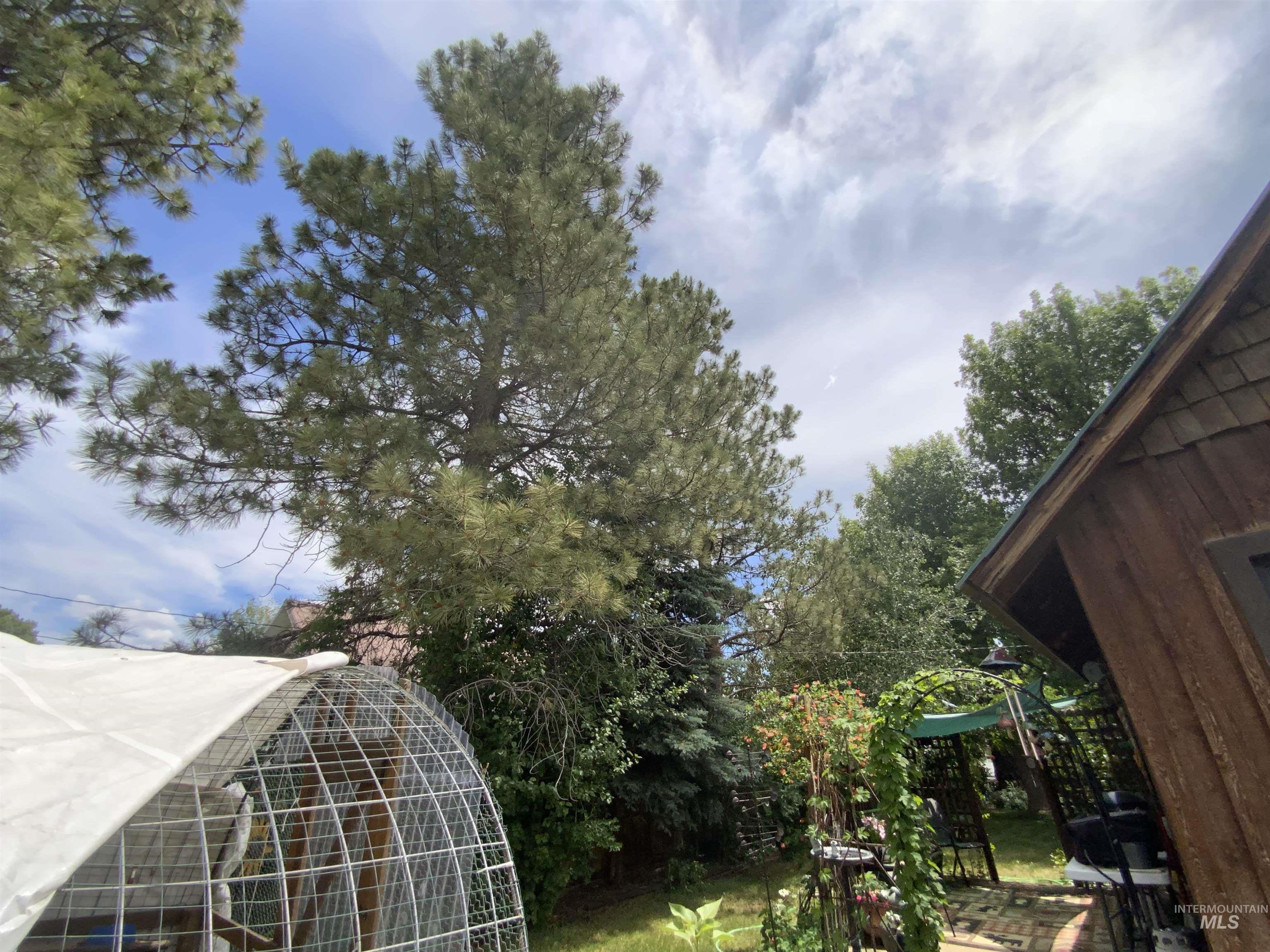 205 W Alturas Ave, Fairfield, Idaho 83327, 2 Bedrooms, 1 Bathroom, Residential For Sale, Price $269,950,MLS 98973986