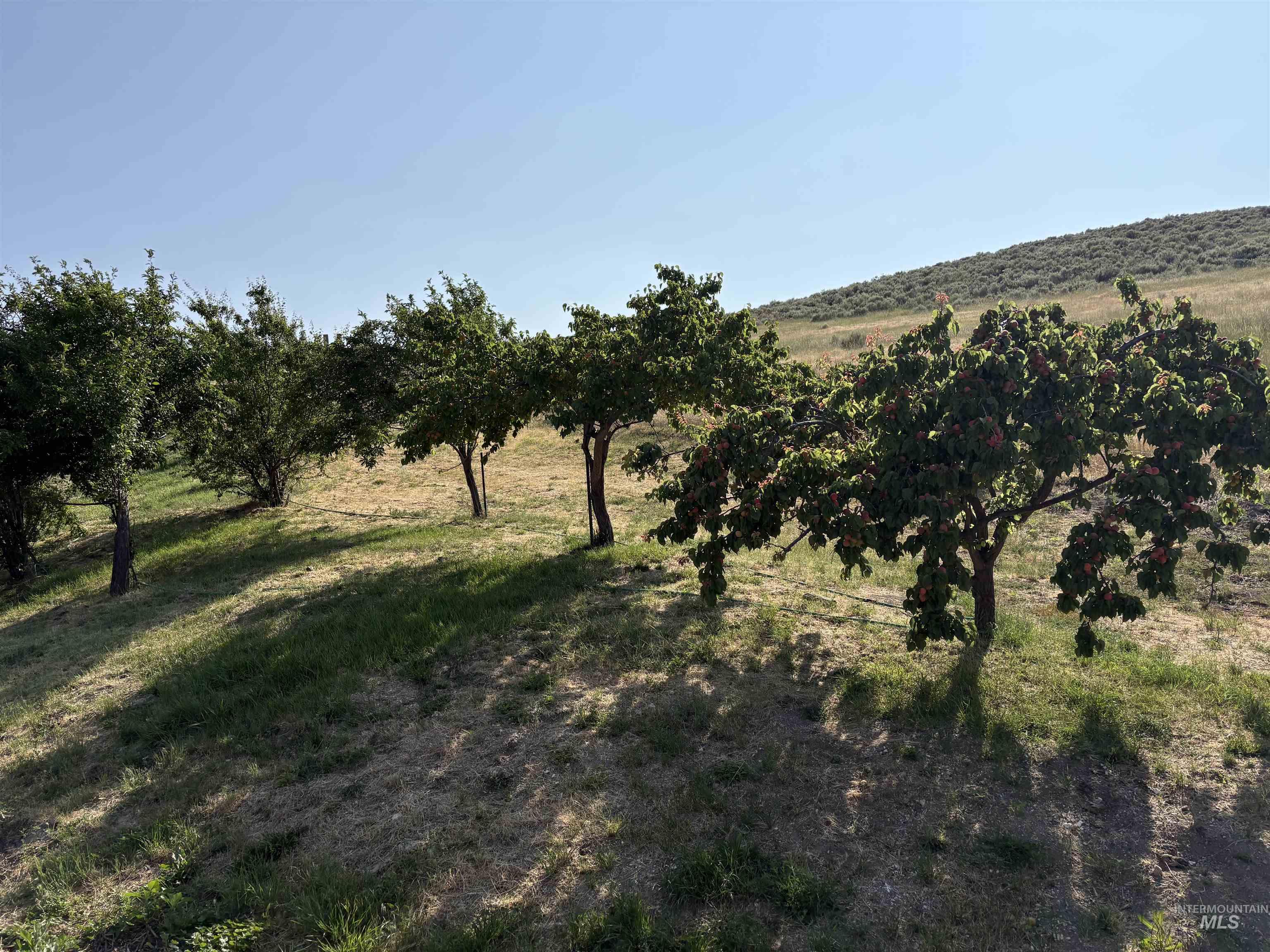 1715 Striker Lane, Weiser, Idaho 83672, 3 Bedrooms, 3 Bathrooms, Residential For Sale, Price $775,000,MLS 98974046