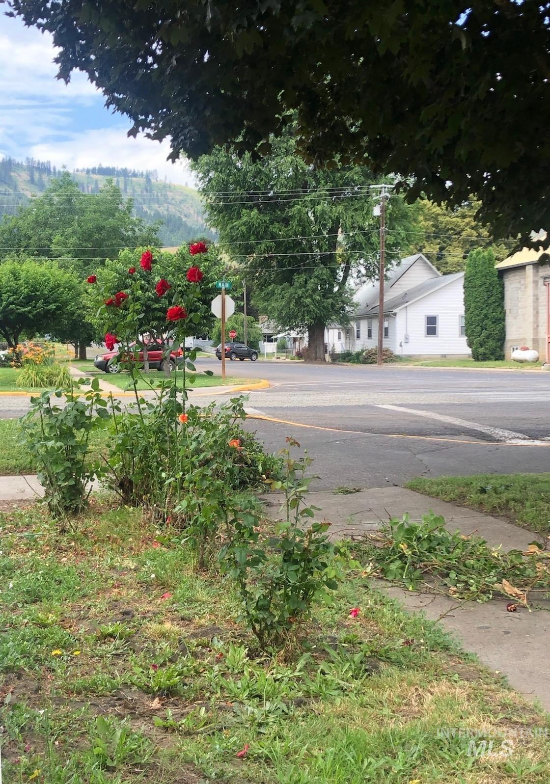 701 Main St, Kamiah, Idaho 83536, 2 Bedrooms, 1 Bathroom, Residential For Sale, Price $239,500,MLS 98974091