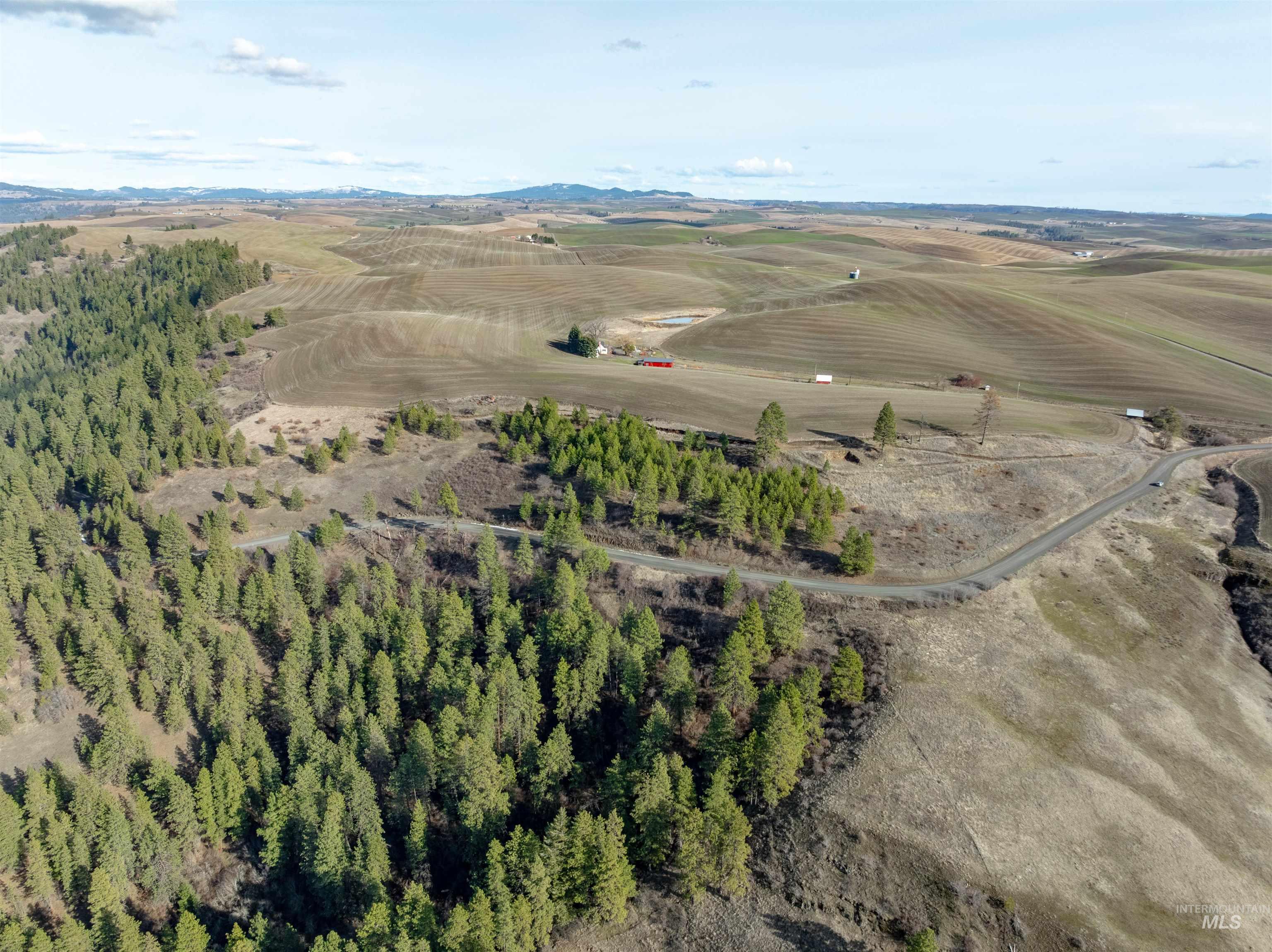 TBD Sperry Grade Road, Kendrick, Idaho 83537, Land For Sale, Price $199,000,MLS 98974108