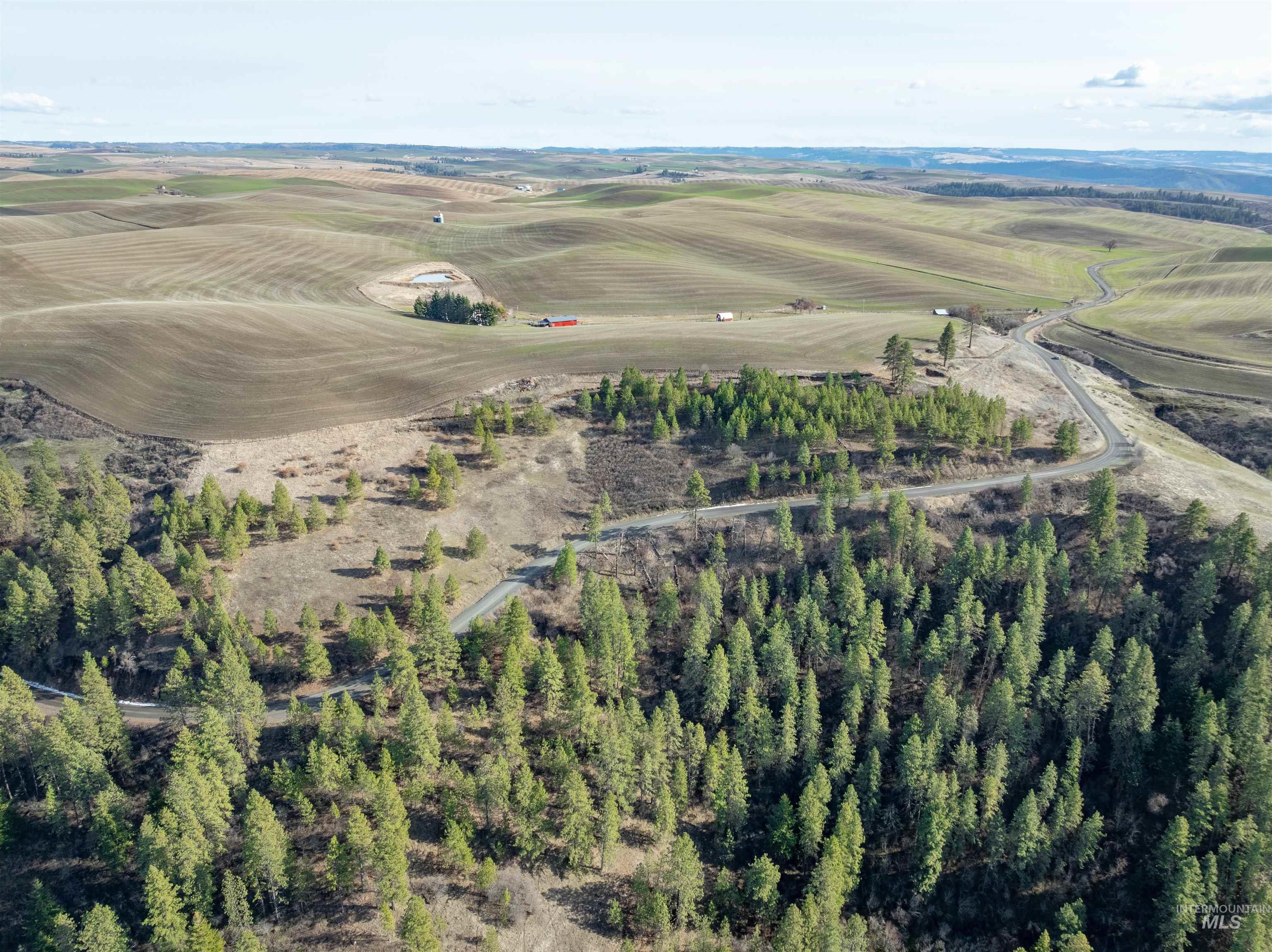 TBD Sperry Grade Road, Kendrick, Idaho 83537, Land For Sale, Price $199,000,MLS 98974108