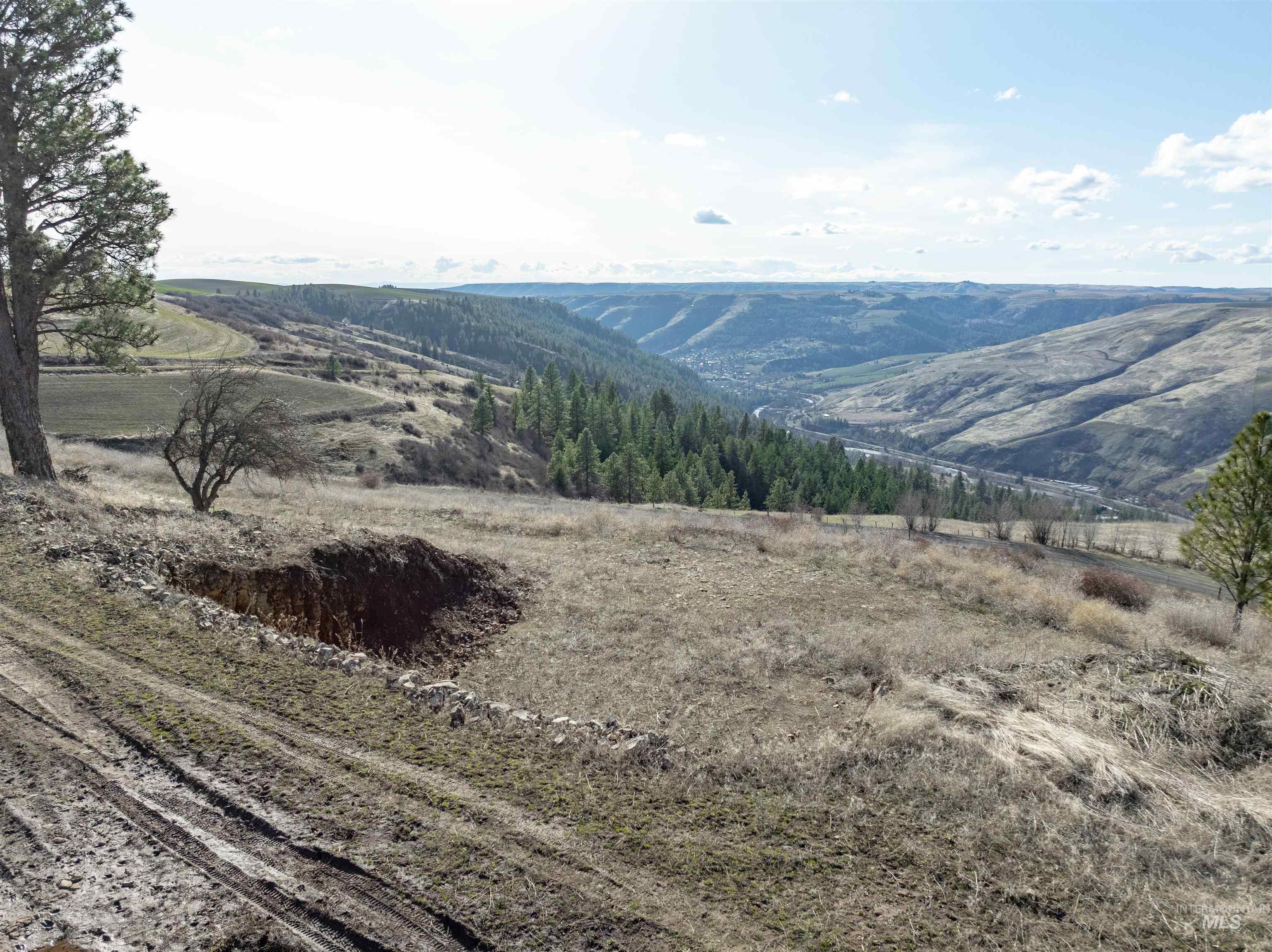 TBD Sperry Grade Road, Kendrick, Idaho 83537, Land For Sale, Price $199,000,MLS 98974108