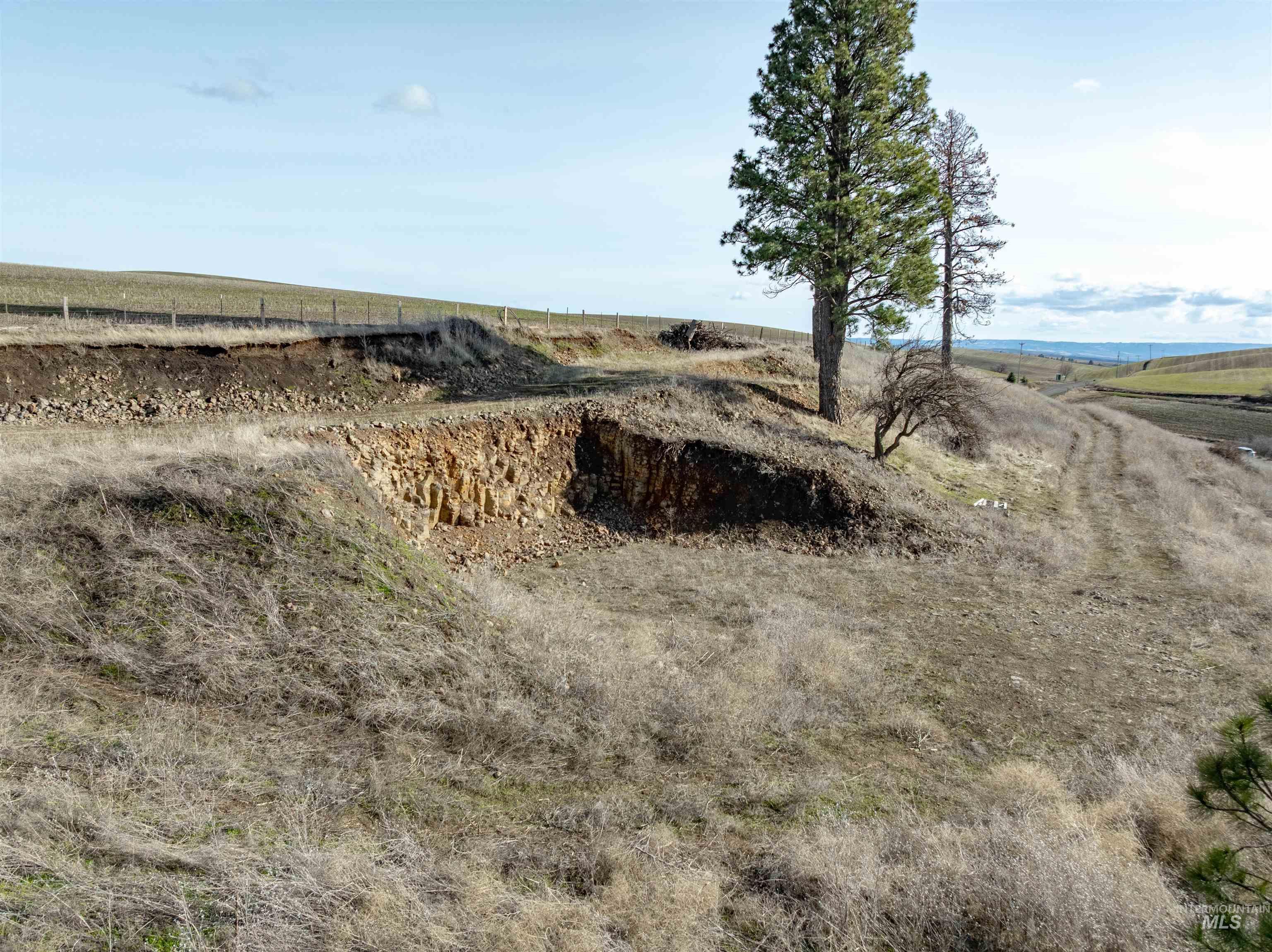 TBD Sperry Grade Road, Kendrick, Idaho 83537, Land For Sale, Price $199,000,MLS 98974108