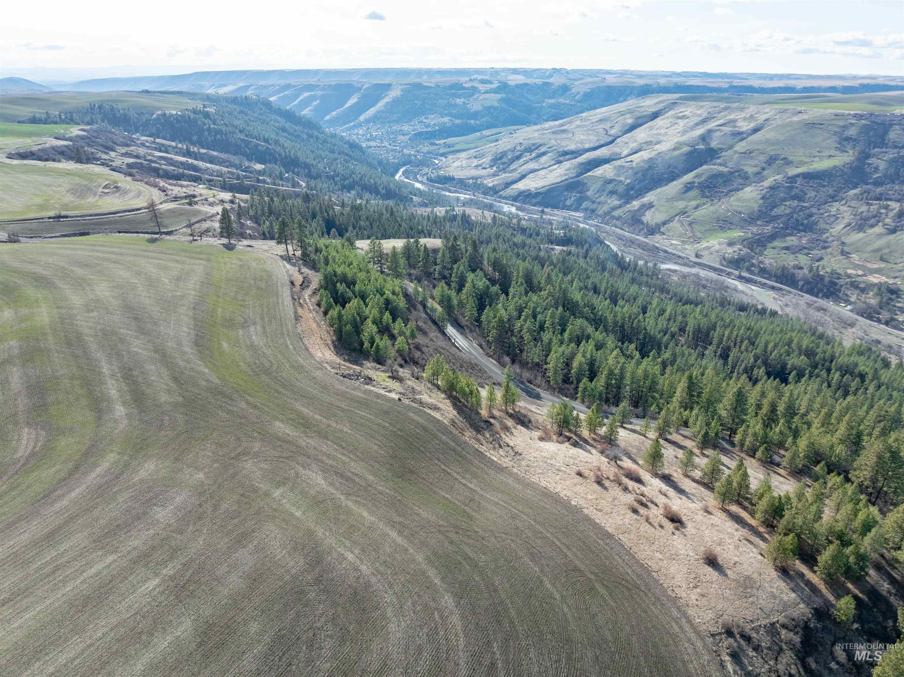 TBD Sperry Grade Road, Kendrick, Idaho 83537, Land For Sale, Price $199,000,MLS 98974108