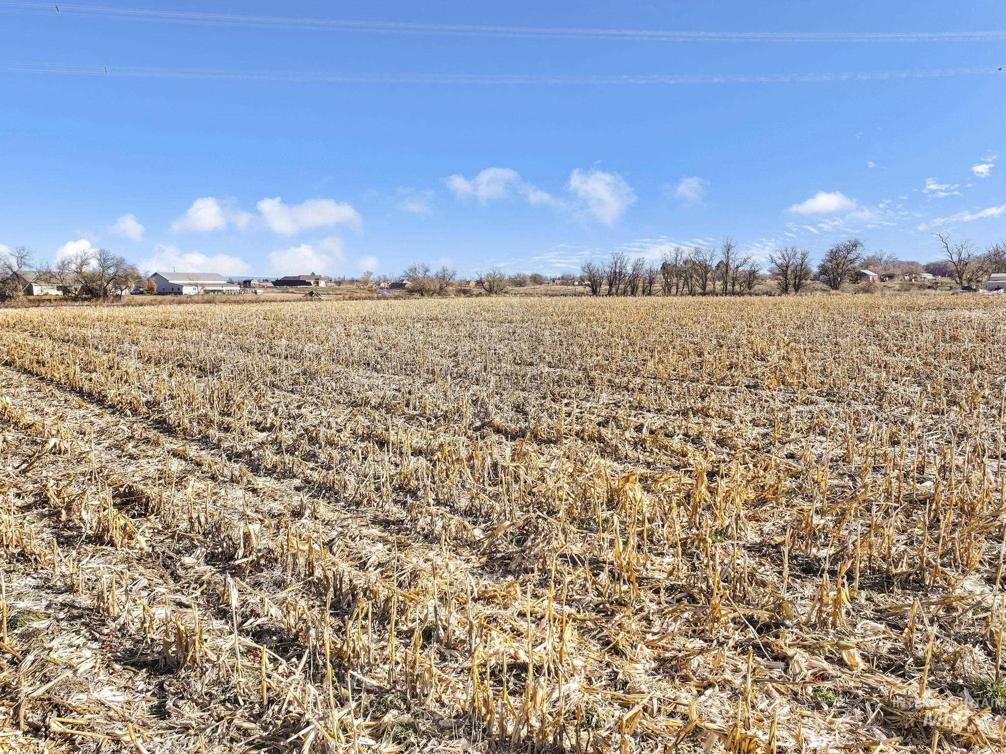 1062 E 2500 S., Hagerman, Idaho 83332, Land For Sale, Price $355,000,MLS 98974138