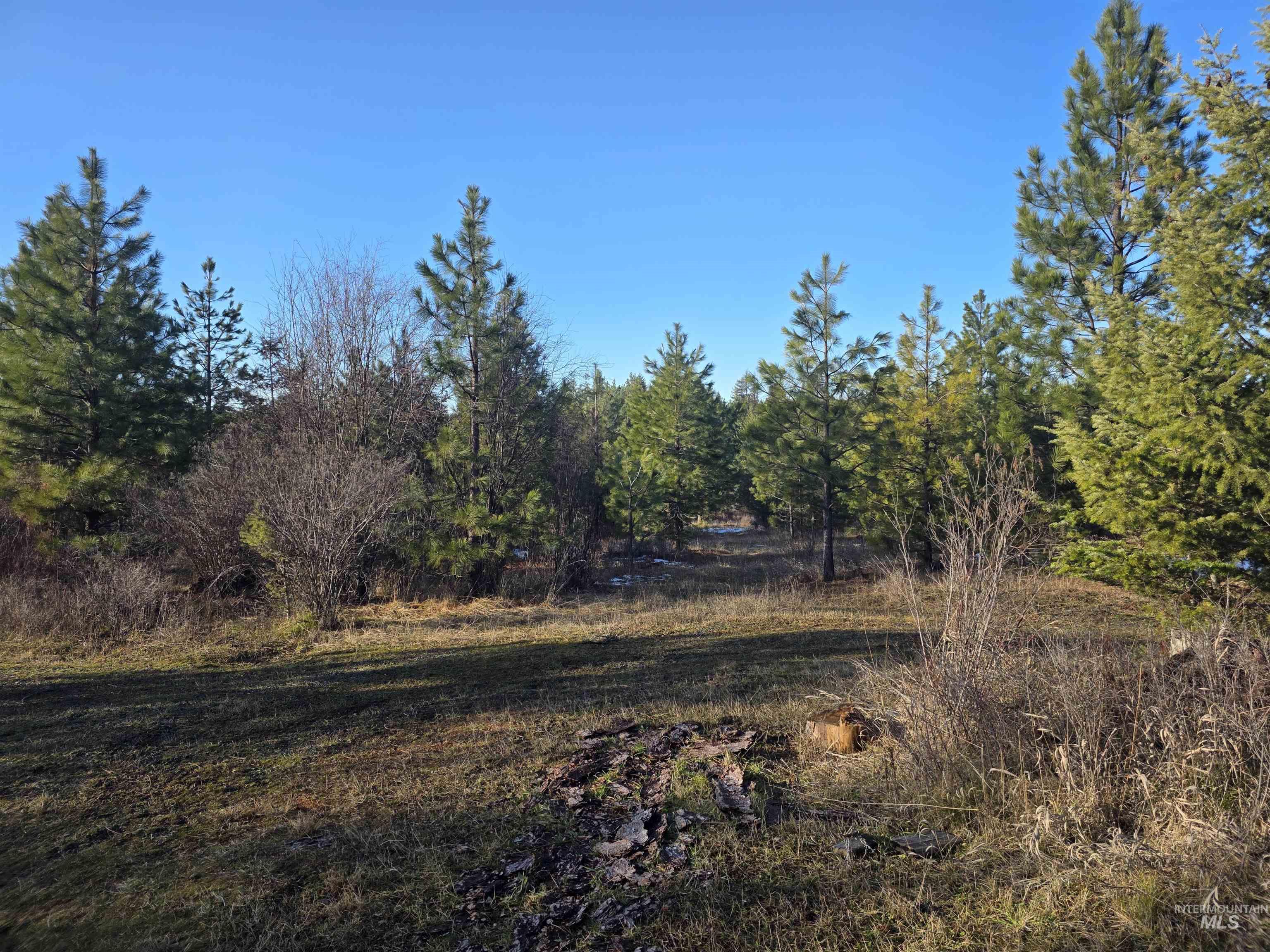 407 Memory Lane, Orofino, Idaho 83544, Land For Sale, Price $228,000,MLS 98974144