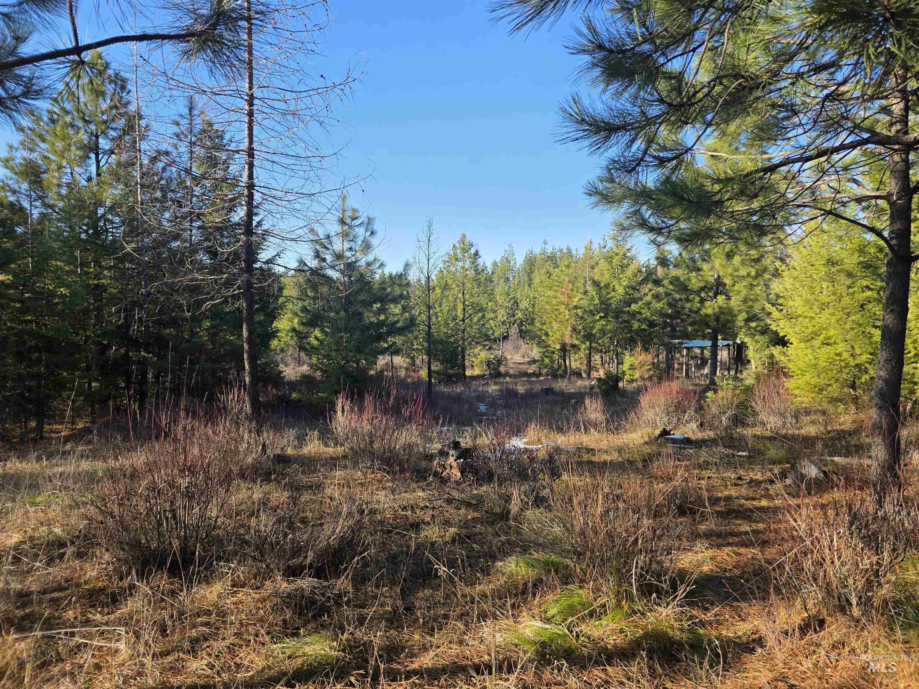 407 Memory Lane, Orofino, Idaho 83544, Land For Sale, Price $228,000,MLS 98974144