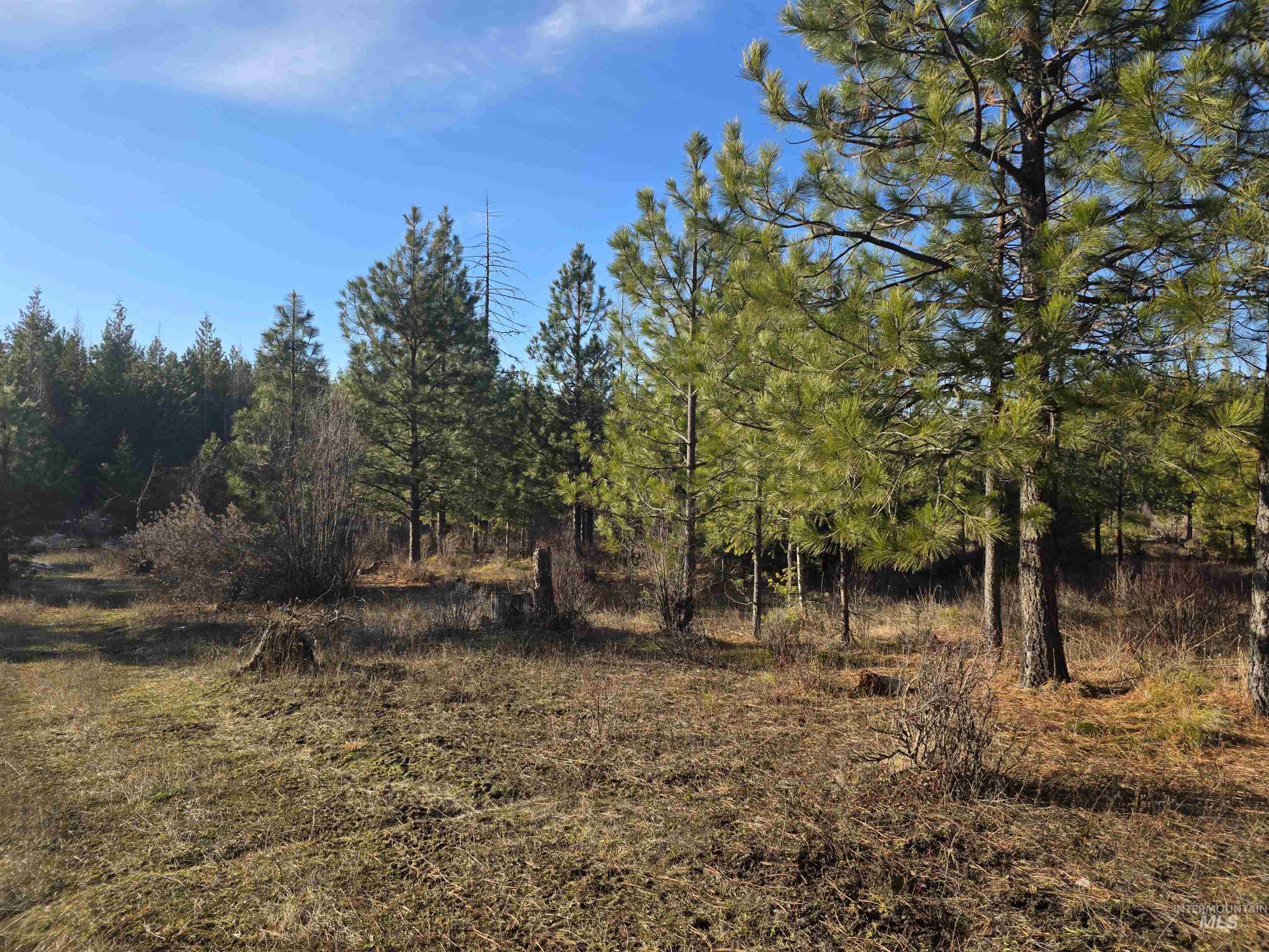 407 Memory Lane, Orofino, Idaho 83544, Land For Sale, Price $228,000,MLS 98974144