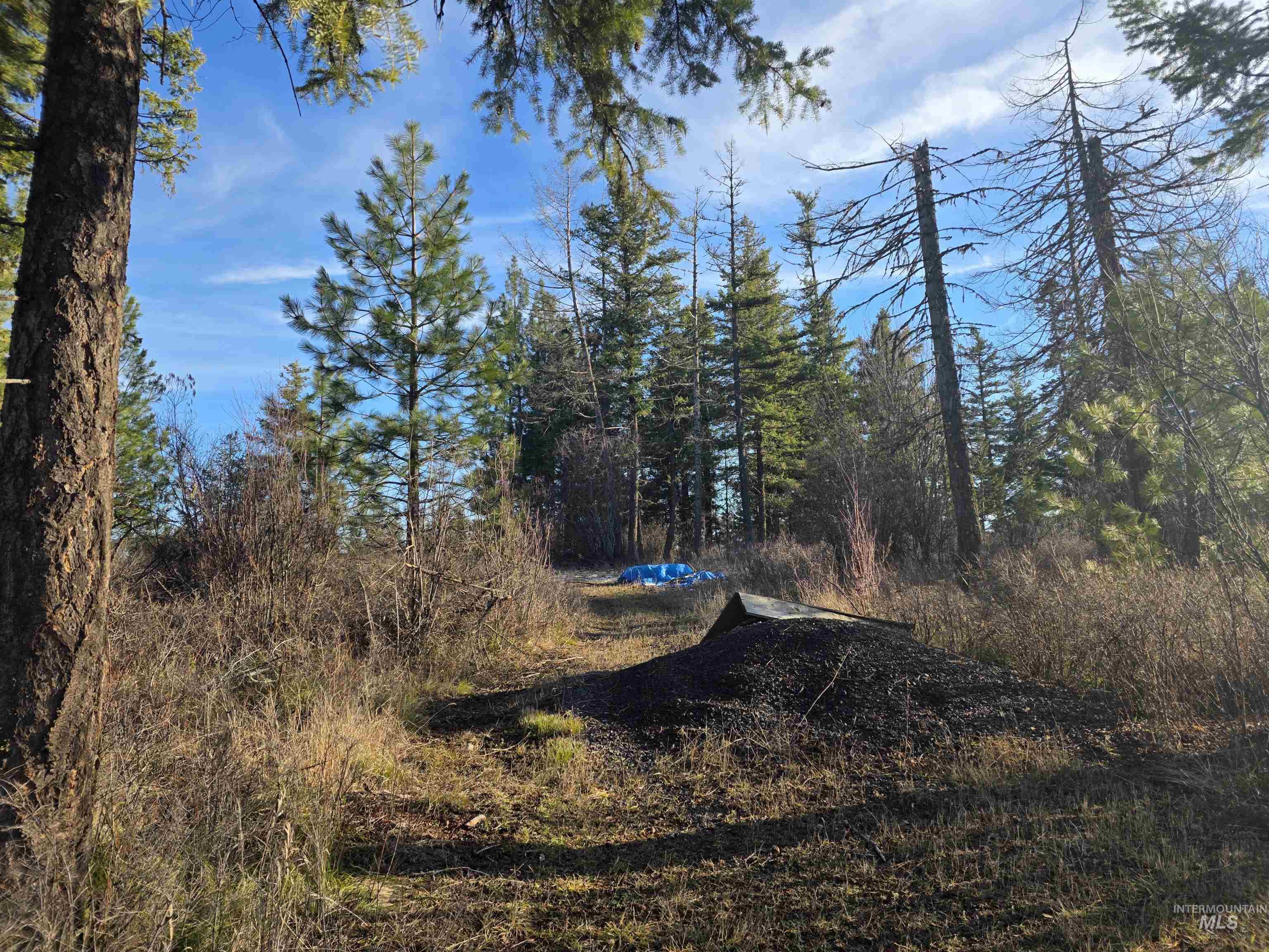 407 Memory Lane, Orofino, Idaho 83544, Land For Sale, Price $228,000,MLS 98974144