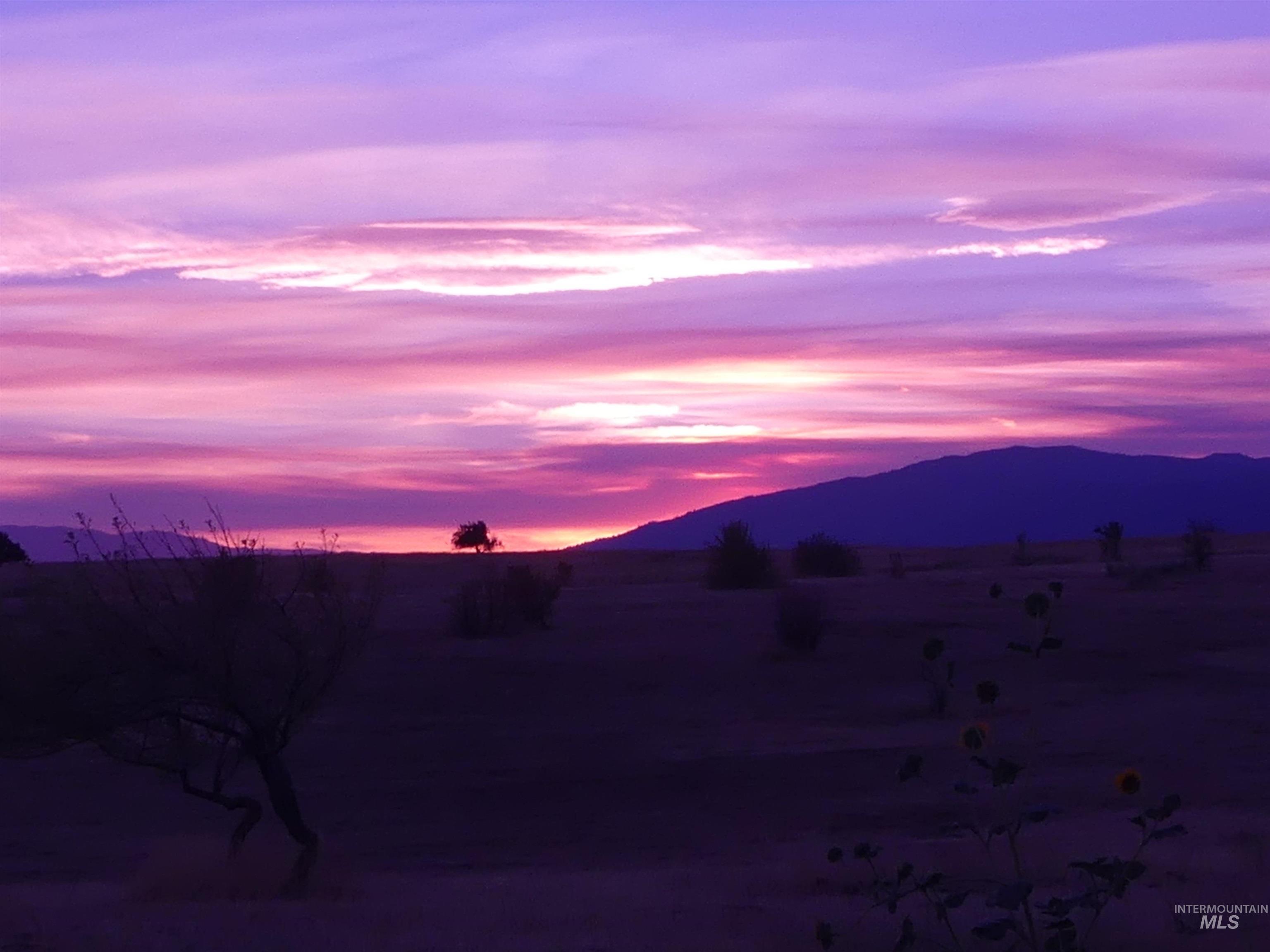 2193 Apple Lane, Mesa, Idaho 83643-5009, 2 Bedrooms, 2.5 Bathrooms, Farm & Ranch For Sale, Price $650,000,MLS 98974162