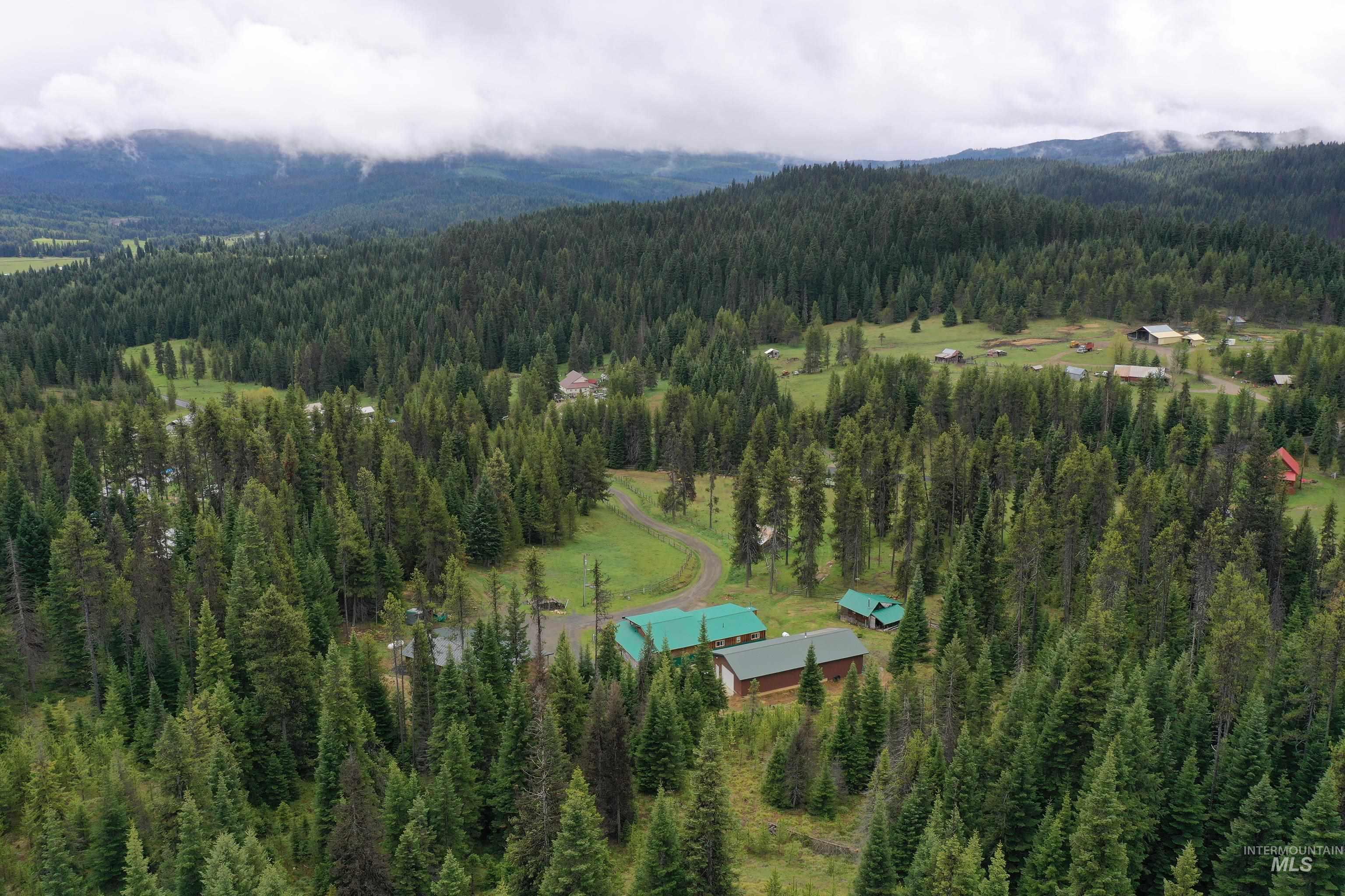 1400 Sweeney Hill Dr, Elk City, Idaho 83525, 3 Bedrooms, 1 Bathroom, Residential For Sale, Price $475,000,MLS 98974195